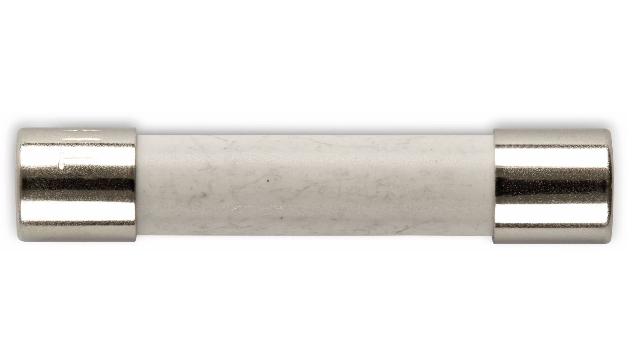 ESKA 632727, Feinsicherung 6,3x32mm, träge, T 10 A /500V, 10 Stück