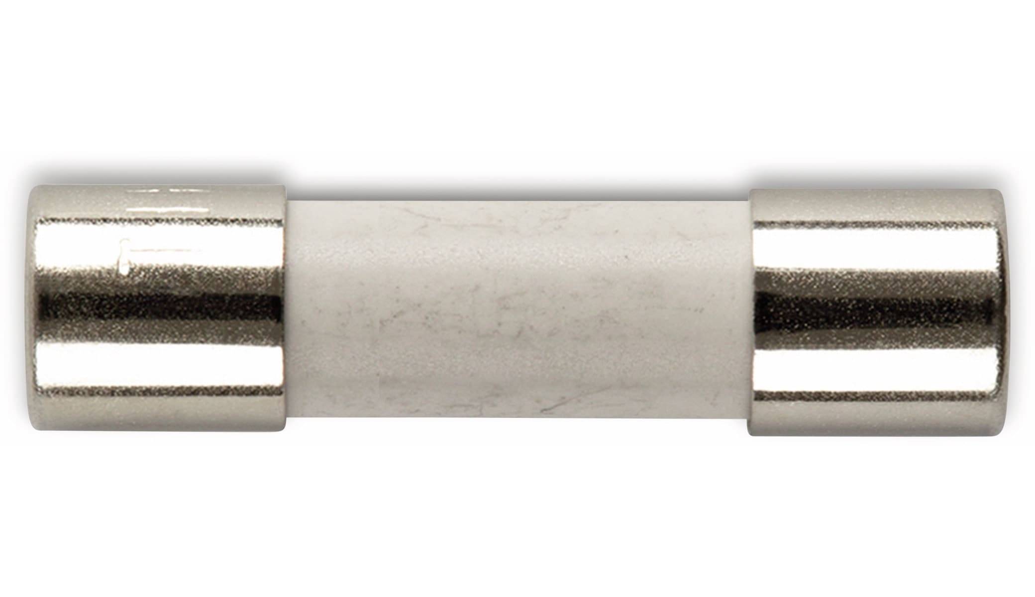 ESKA 522724, Feinsicherung 5x20mm, träge, T 5 A, 10 Stück