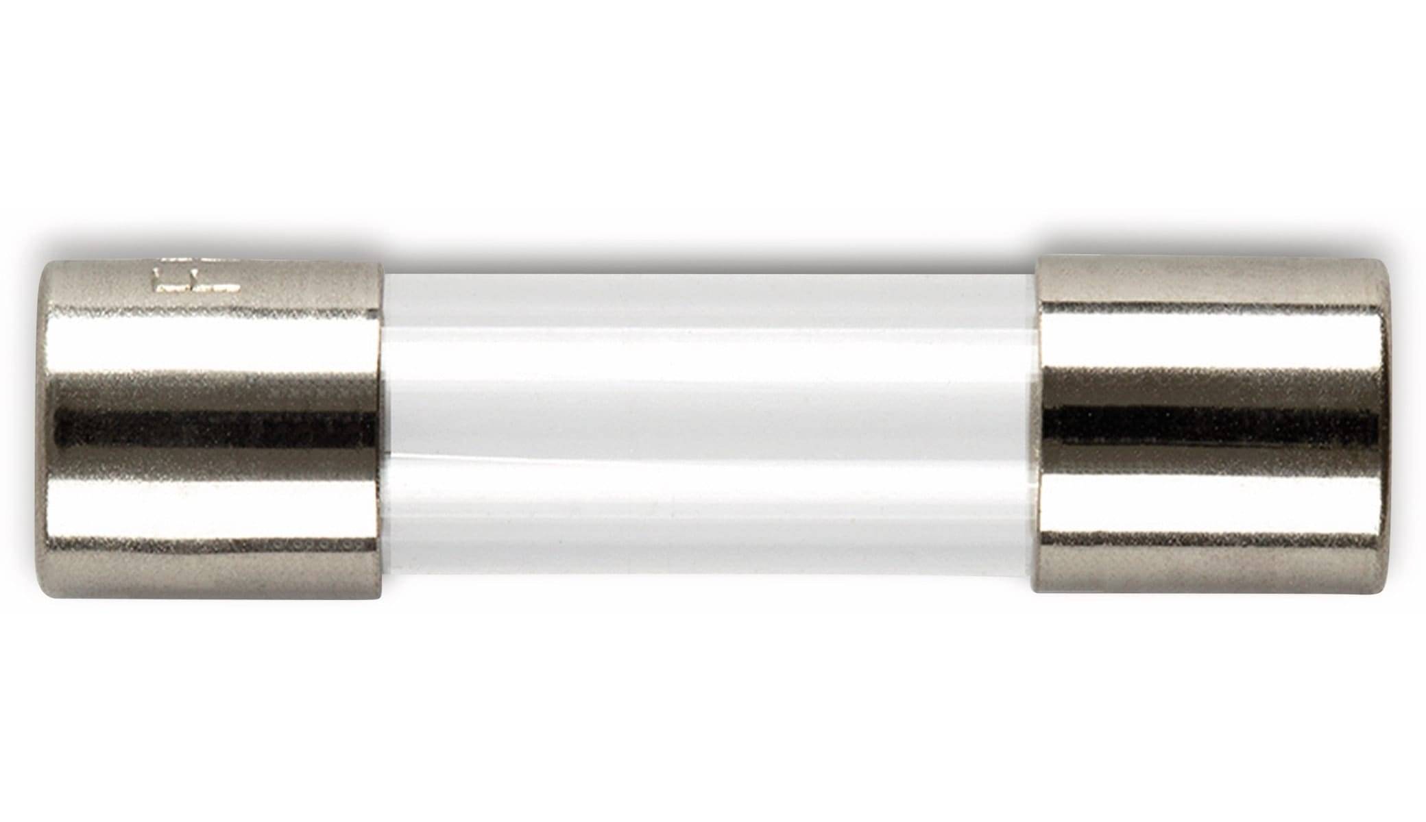 ESKA 522524, Feinsicherung 5x20mm, träge, T 5 A, 10 Stück