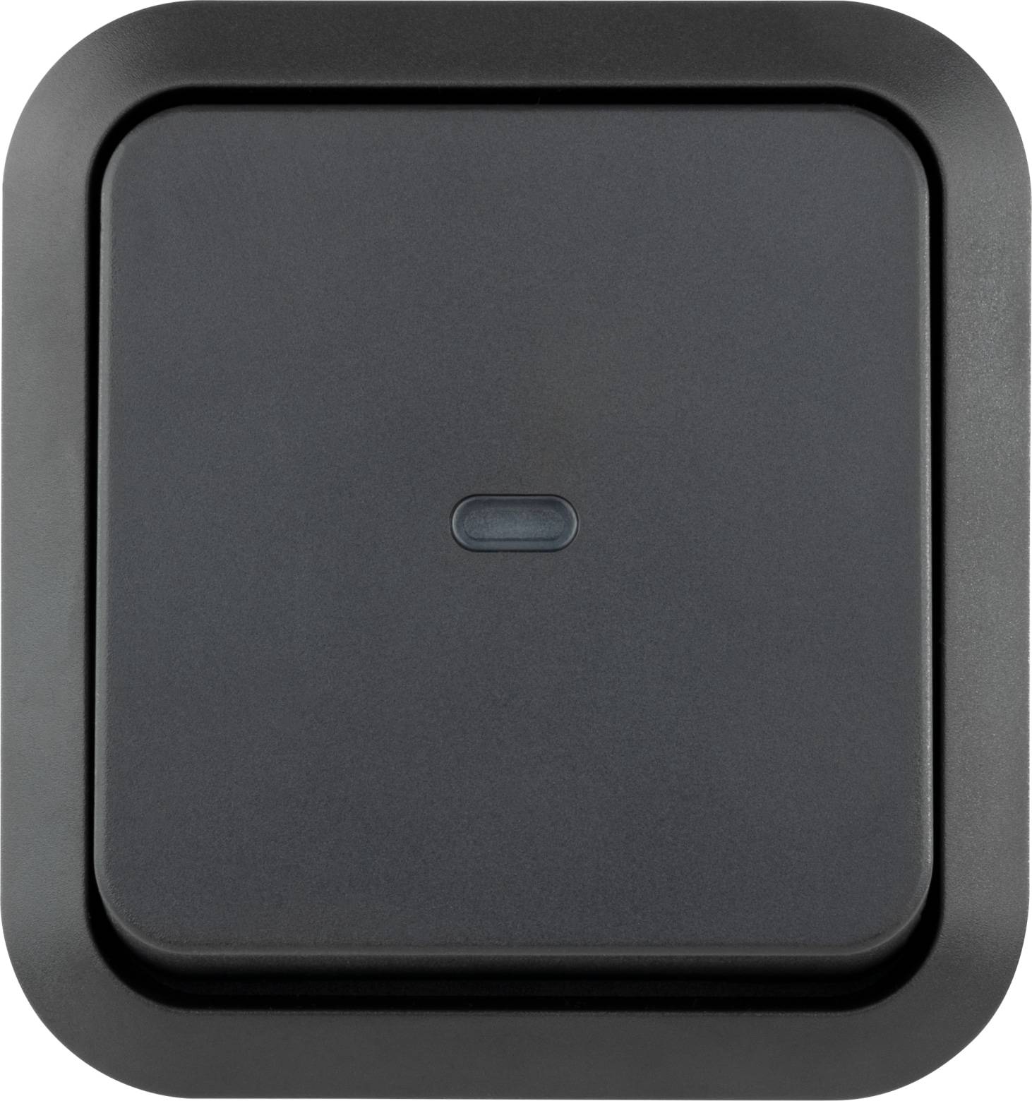 REV Feuchtraum-Kontroll-Schalter AquaStorm, AP, grau