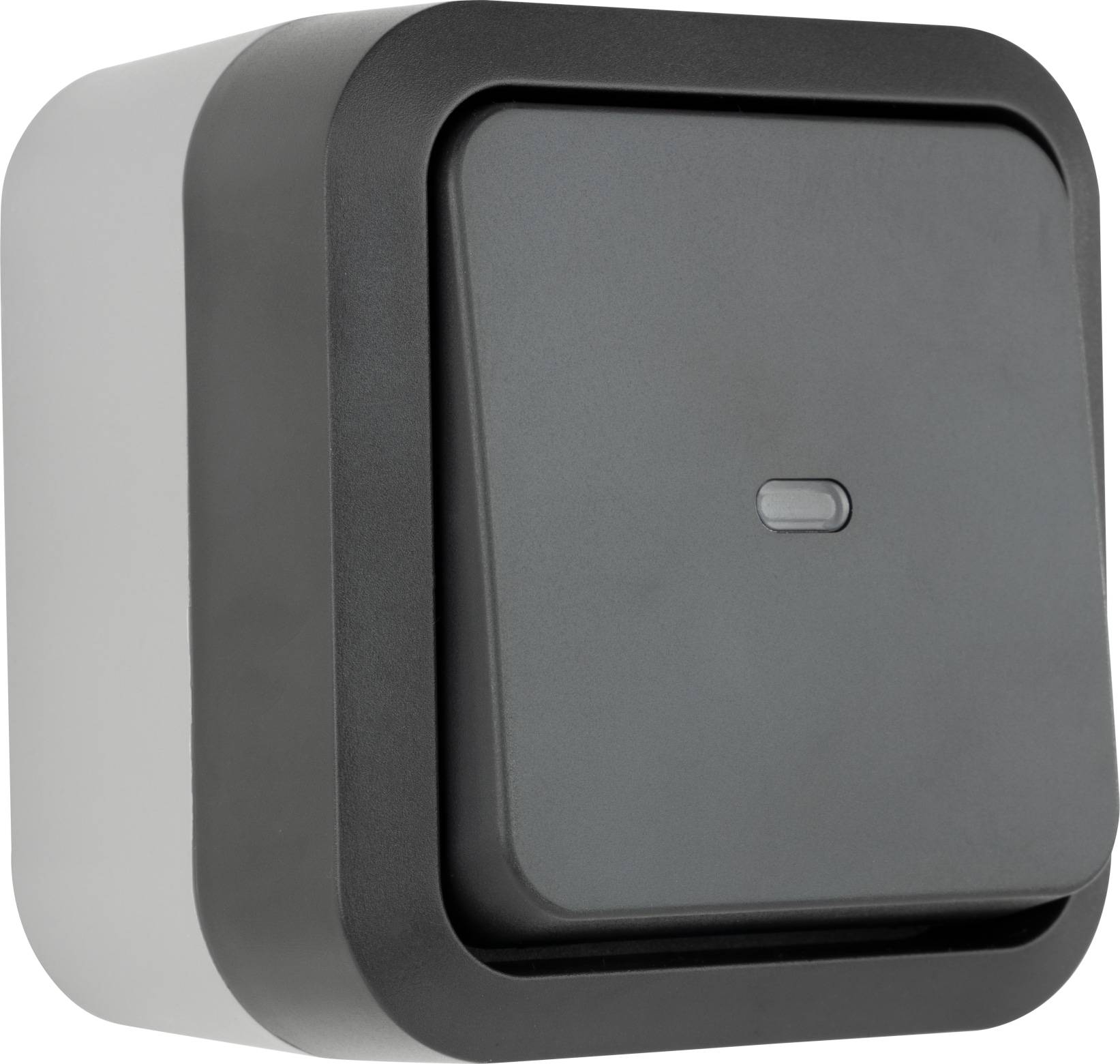 REV Feuchtraum-Kontroll-Schalter AquaStorm, AP, grau