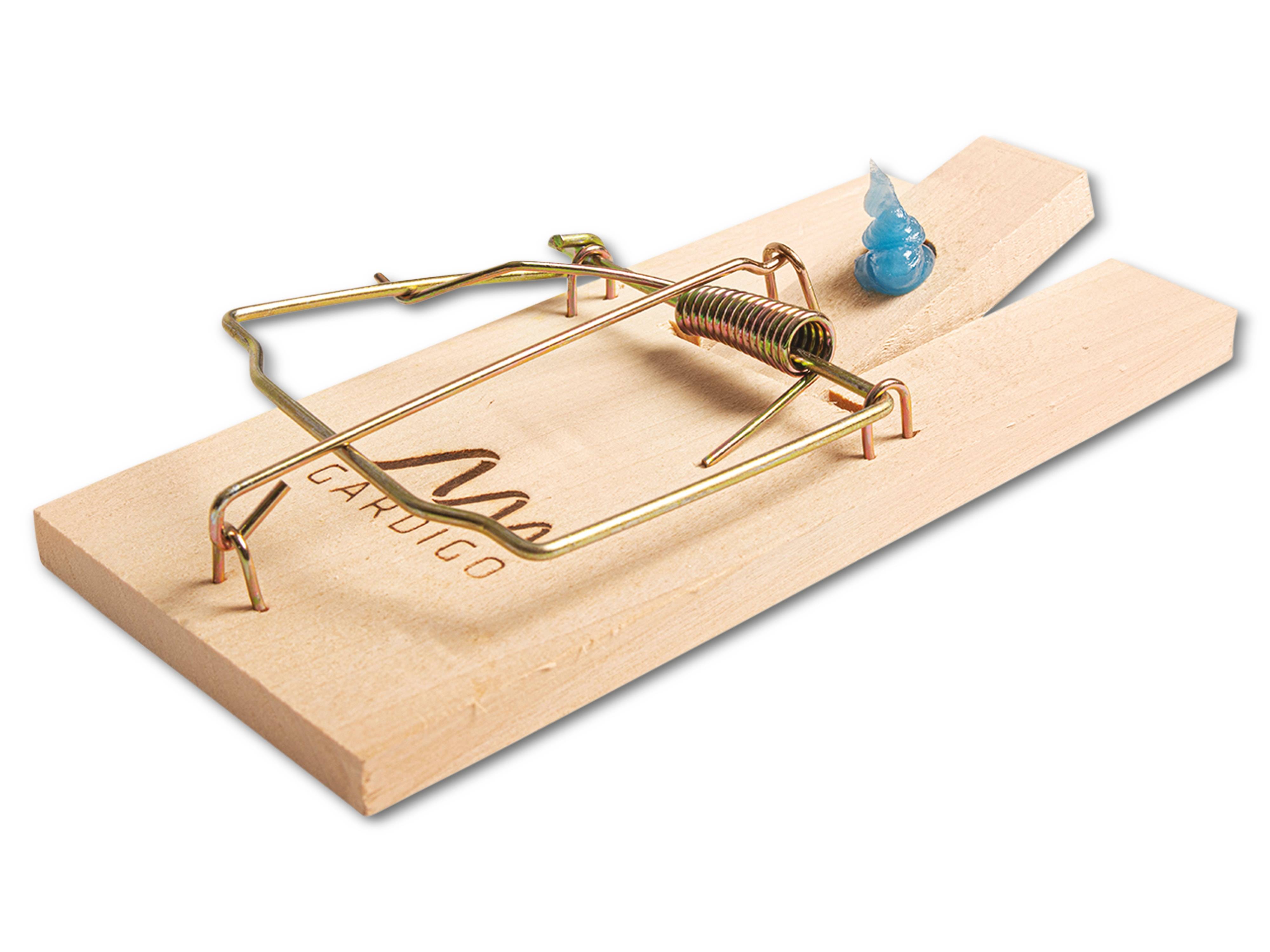 Eine Holzfalle mit einem Metallfedermechanismus ist mit blauer Köderung gespannt.