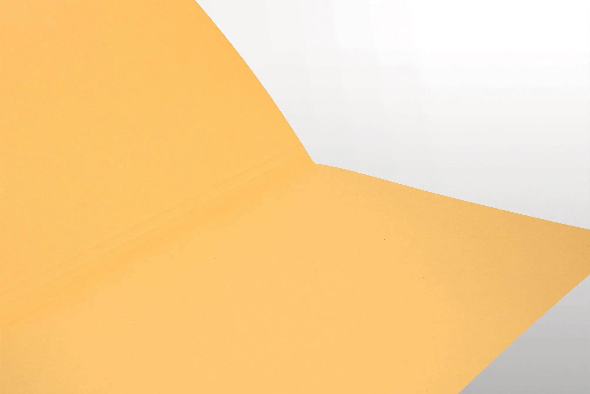 Falken 100x Aktendeckel für A4, 250g/m2 Manila-RC-Karton - Chamois - 80001233F