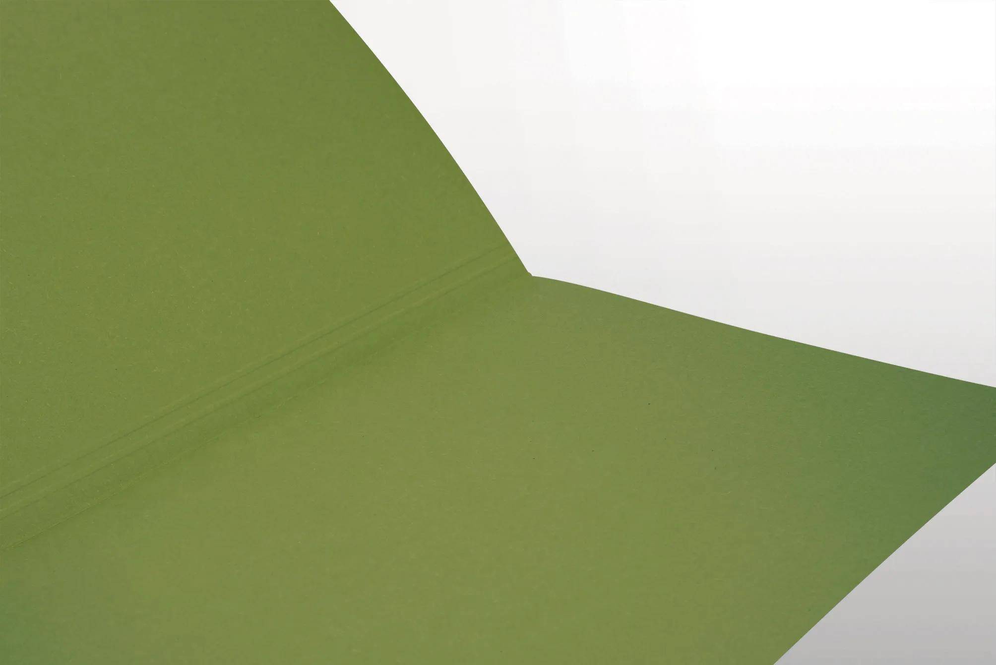 Falken 100x Aktendeckel für DIN A4, 250g/m2 Manila-RC-Karton - Grün - 80001167F