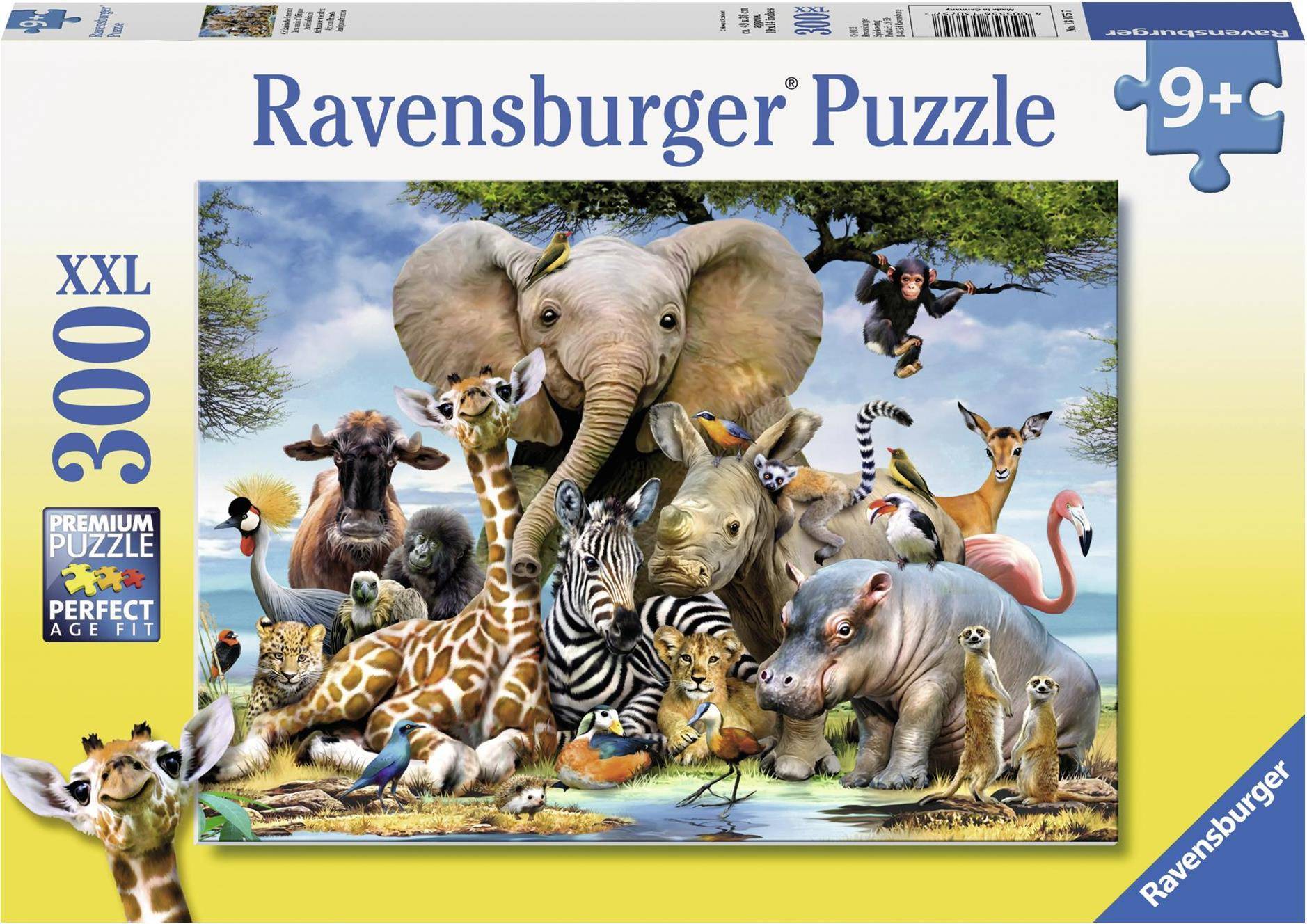 Ravensburger 13075