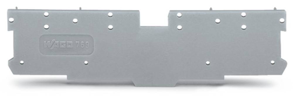 WAGO GmbH & Co. KG Abschluss-u.Zwischenplatte 769-301