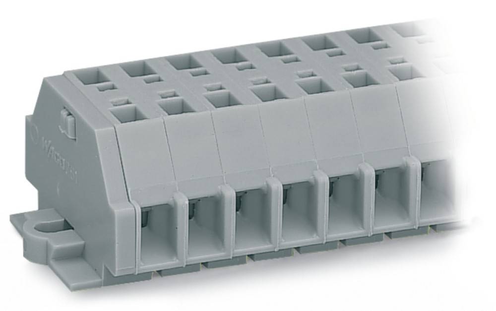 WAGO GmbH & Co. KG 2-Leiter-Klemmenleiste 261-106