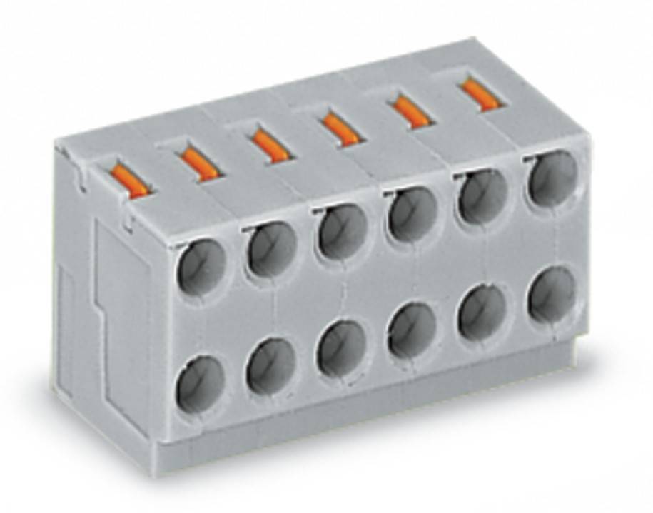 WAGO GmbH & Co. KG 2-Leiter-Federleiste 252-106