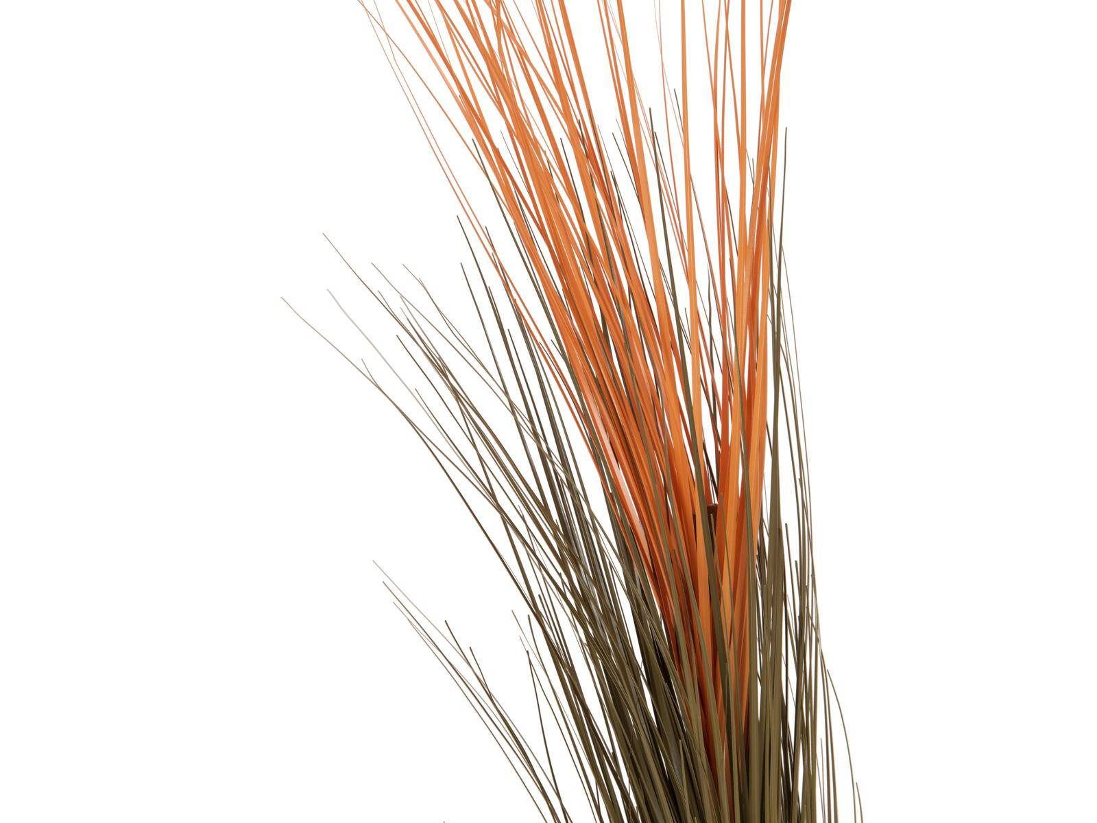 EUROPALMS Schilfgras, künstlich, hellbraun, 127cm