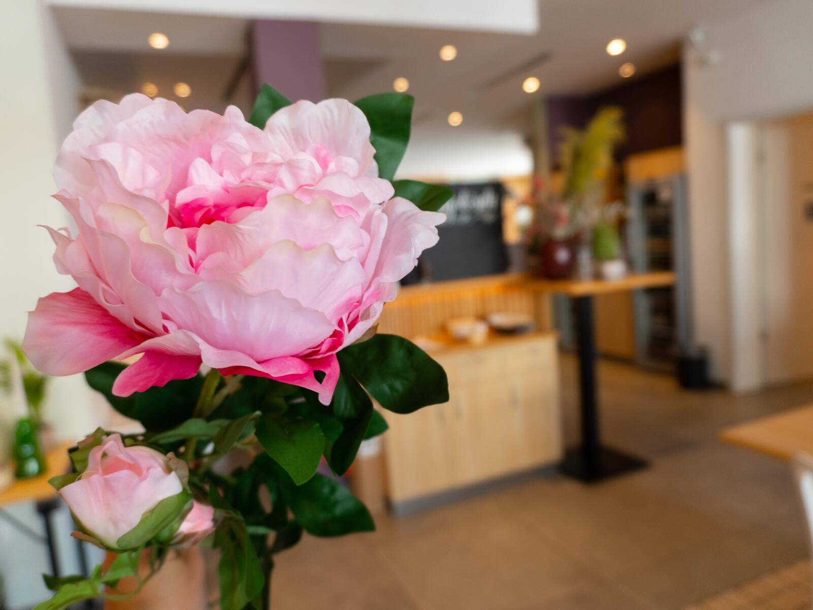 EUROPALMS Pfingstrosenzweig Classic, Kunstpflanze, pink, 80cm