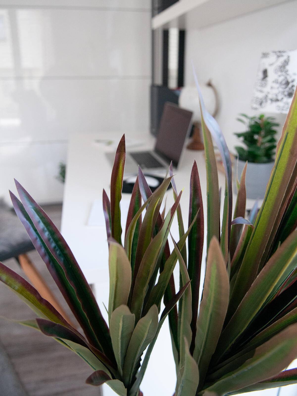 EUROPALMS Dracena, künstlich, 120cm