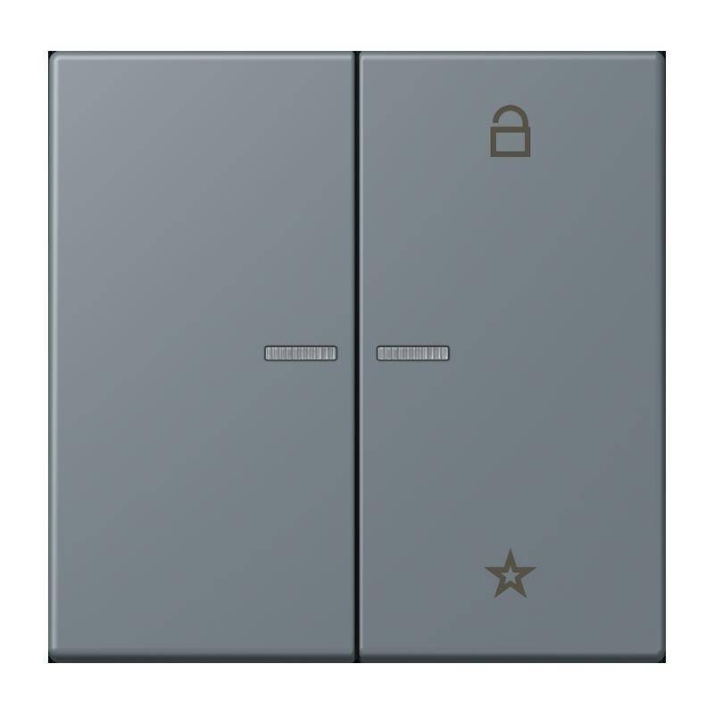 Ein grauer Schalttafel mit zwei Schaltern; links ist schlicht, und rechts befindet sich ein Vorhängeschloss-Symbol oberhalb und ein Sternsymbol unterhalb.