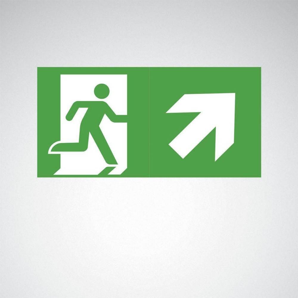 Trilux Piktogrammscheibe 07650/07750 #7956300