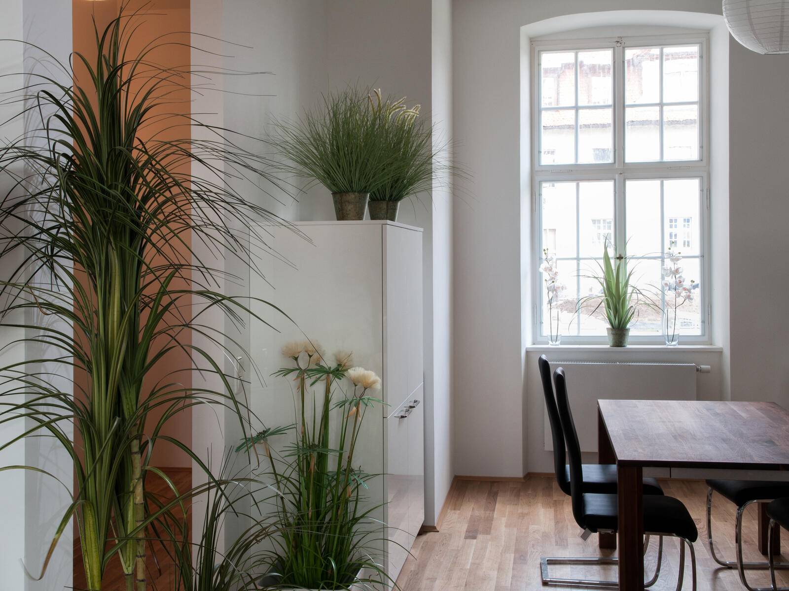 EUROPALMS Ziergras, künstlich, 65cm