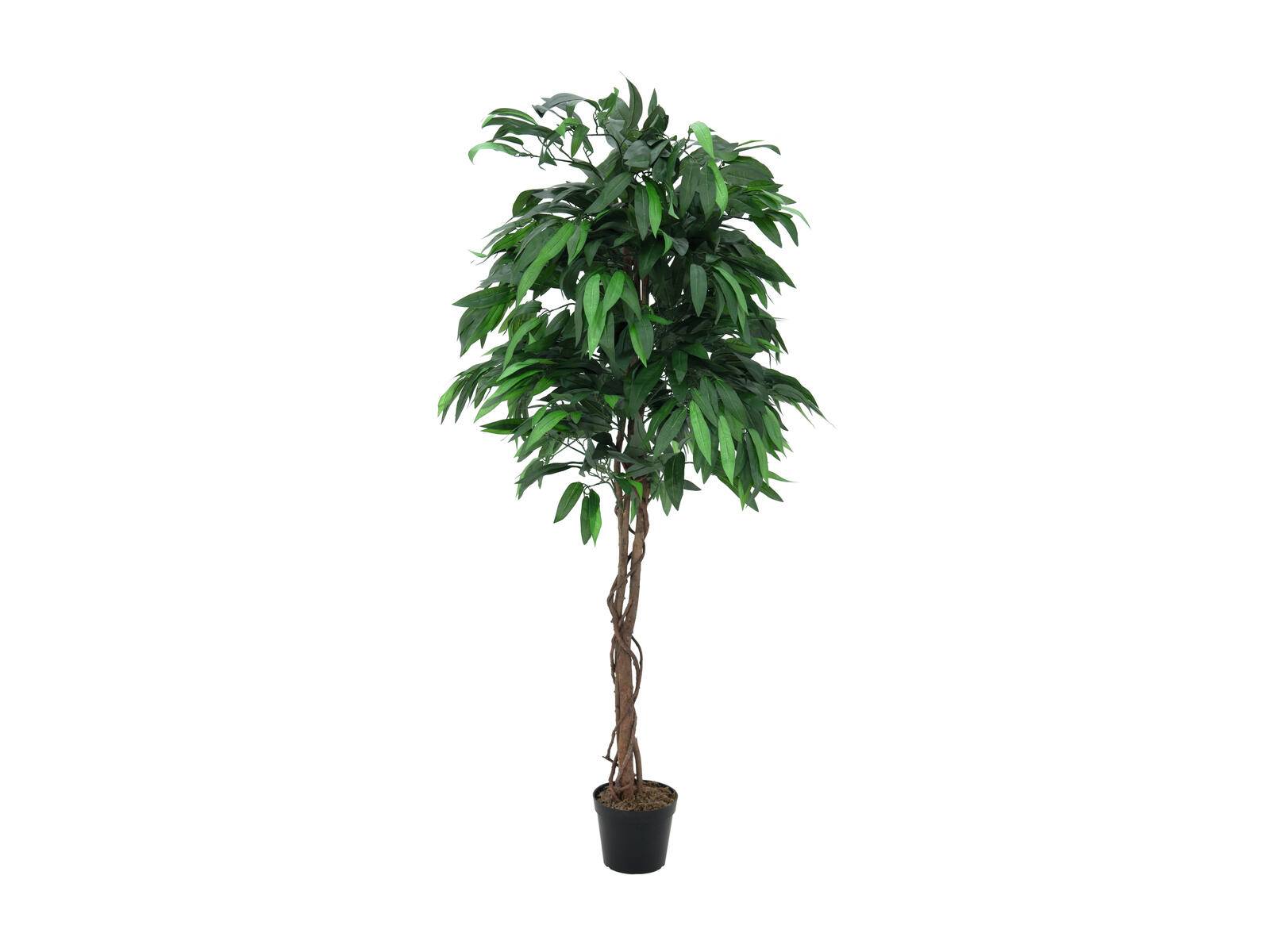 EUROPALMS Dschungelbaum Mango, Kunstpflanze, 180cm