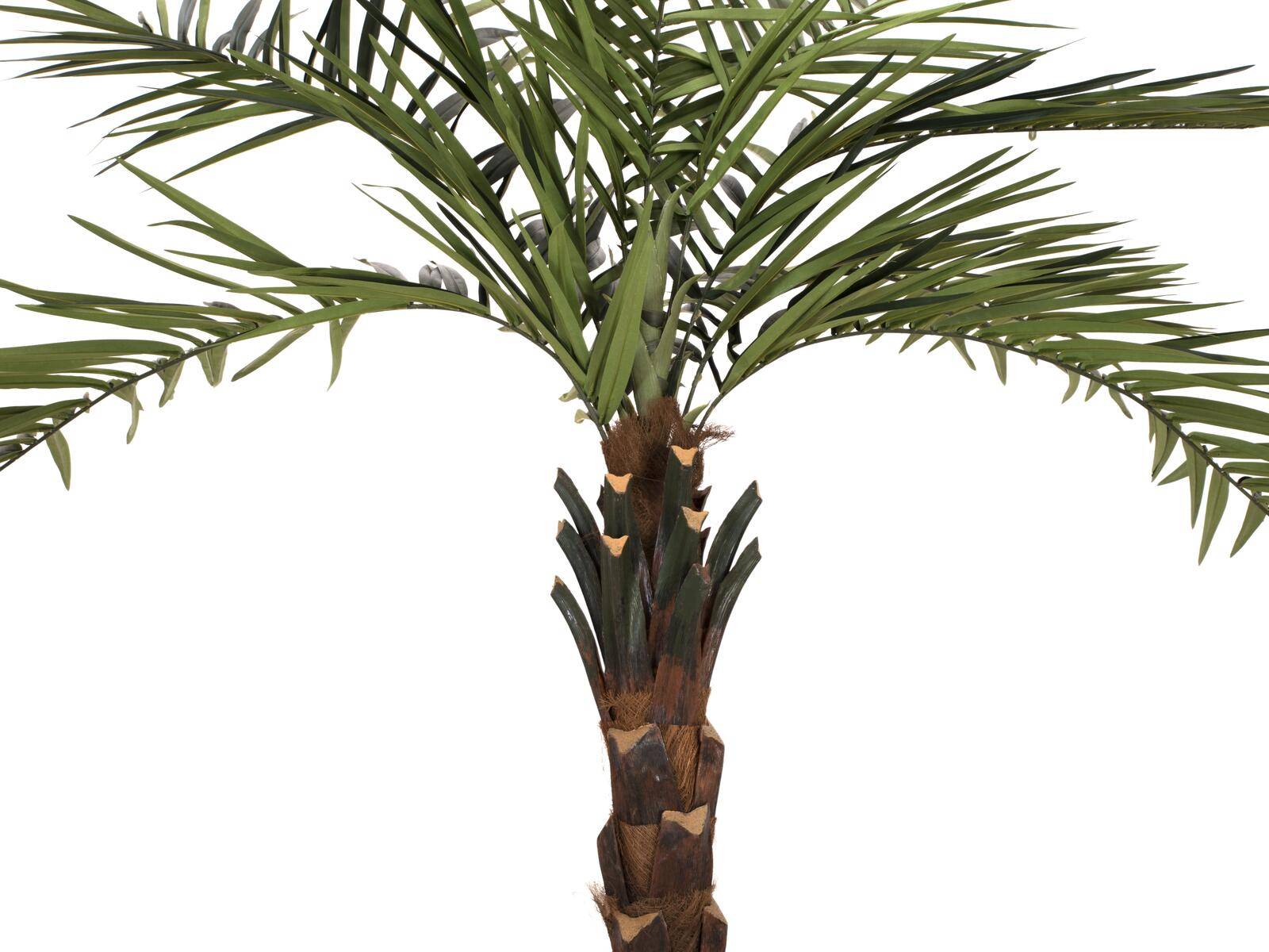 EUROPALMS Kentia Palme deluxe, Kunstpflanze 300cm