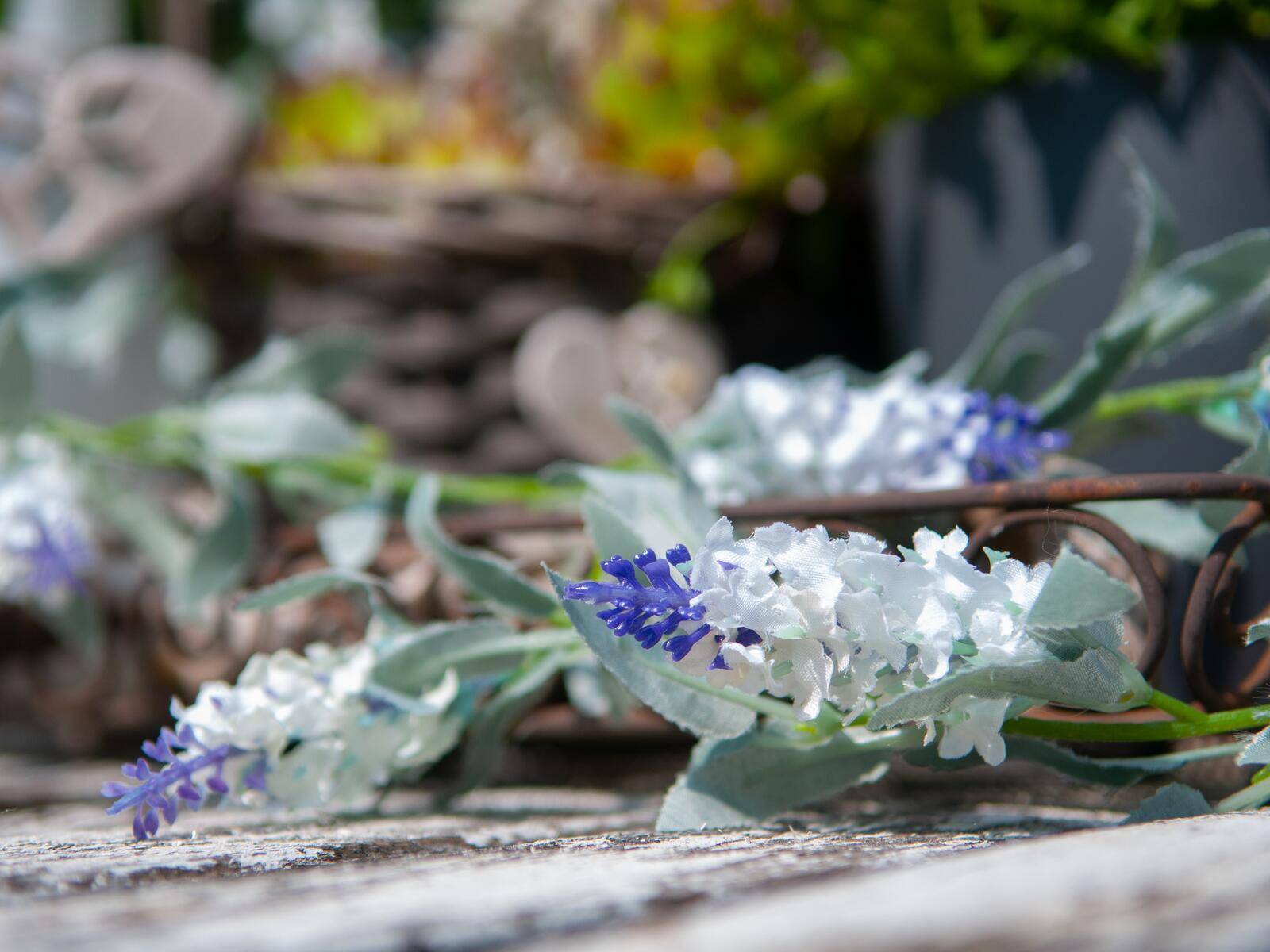 EUROPALMS Blütengirlande, künstlich, weiß, 180cm