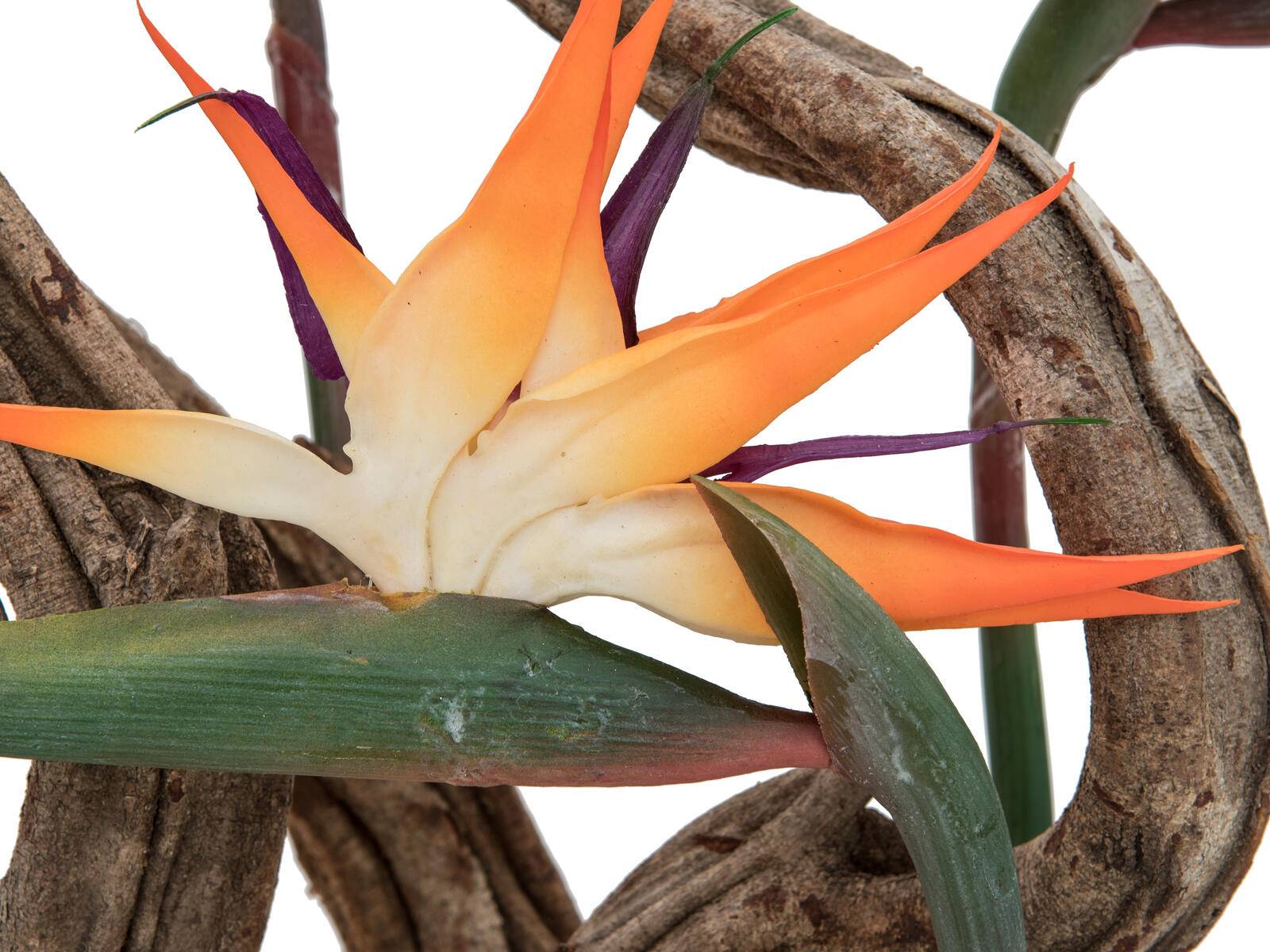 EUROPALMS Paradiesvogel-Blume, Kunstpflanze, orange, 95cm