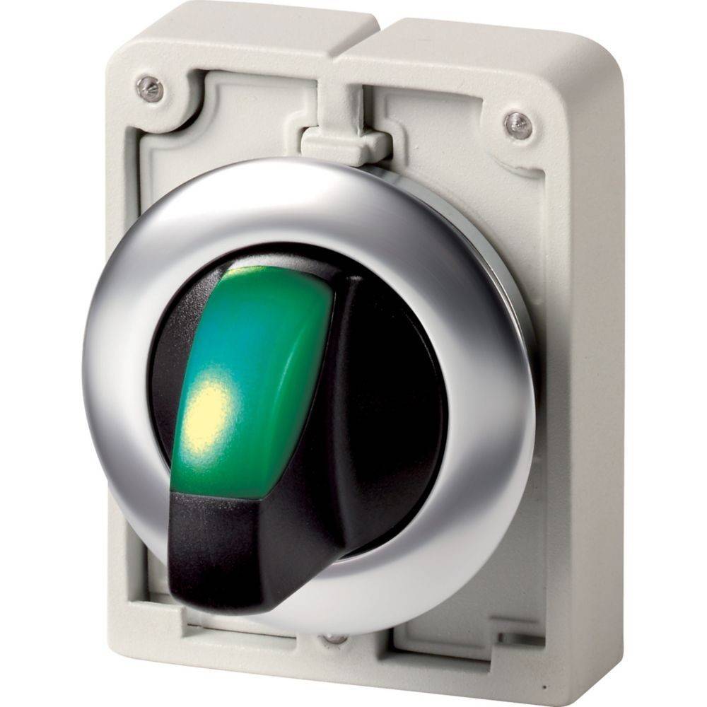 Eaton Leuchtwahltaste RMQ-Titan M30I-FWLK-G
