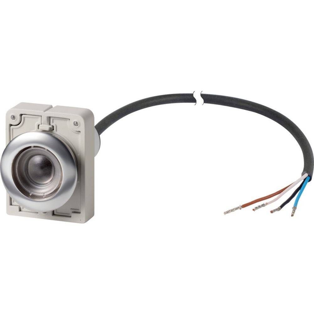 Eaton Drucktaste flach rastend C30C-FDR-X-K20-P62