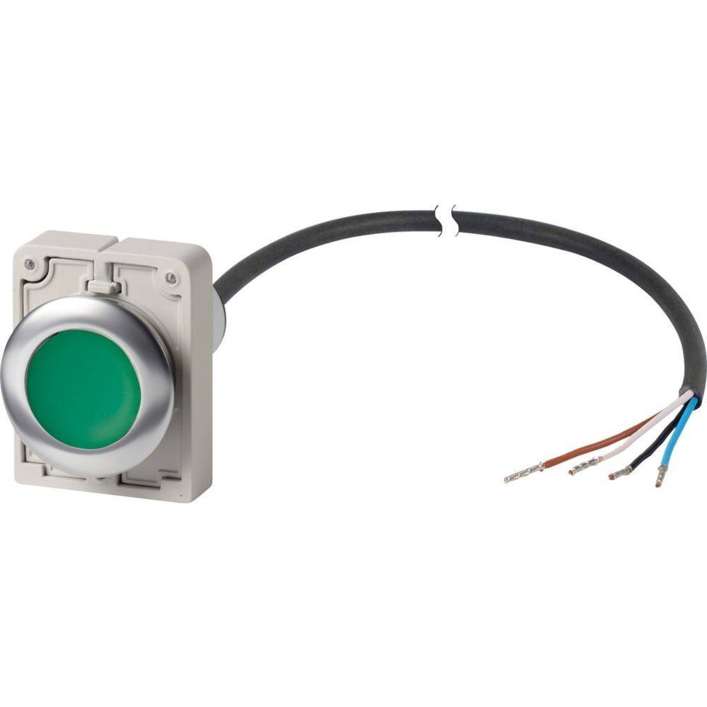Eaton Drucktaste flach rastend C30C-FDR-G-K10-P62