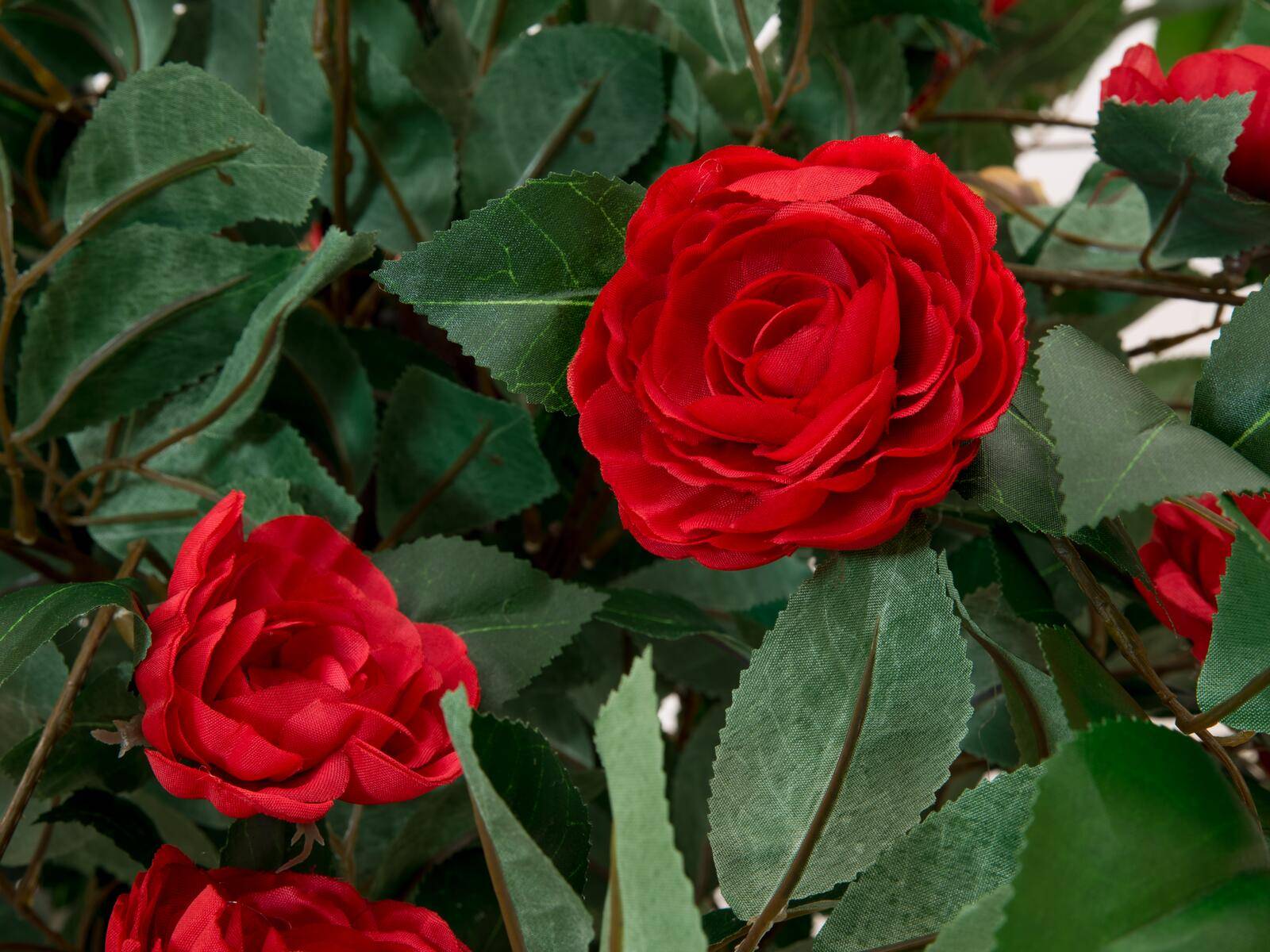 EUROPALMS Kamelienbaum rot mit Topf, Kunstpflanze, 180cm