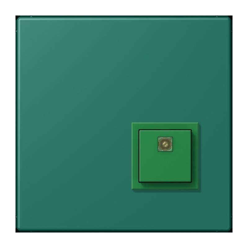 Jung Notrufsystem Abstelltaster NRS LC 0834 AT 216