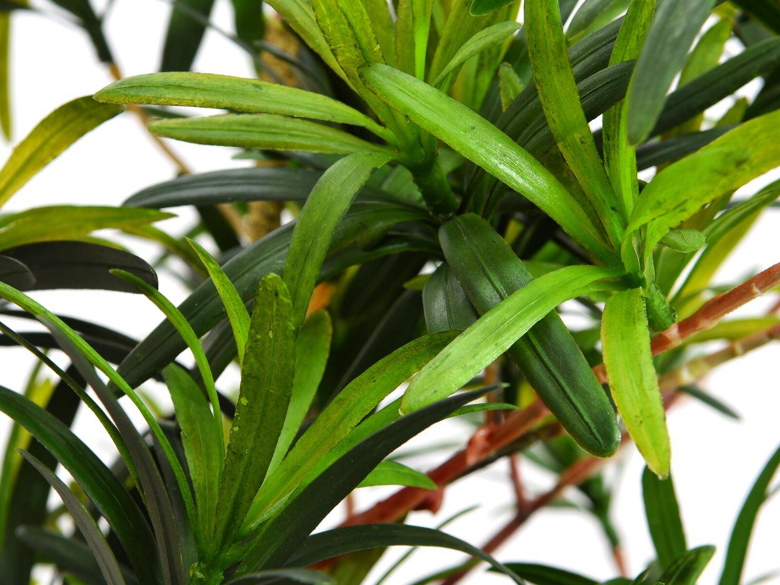 EUROPALMS Steineibe, Kunstpflanze, 90cm