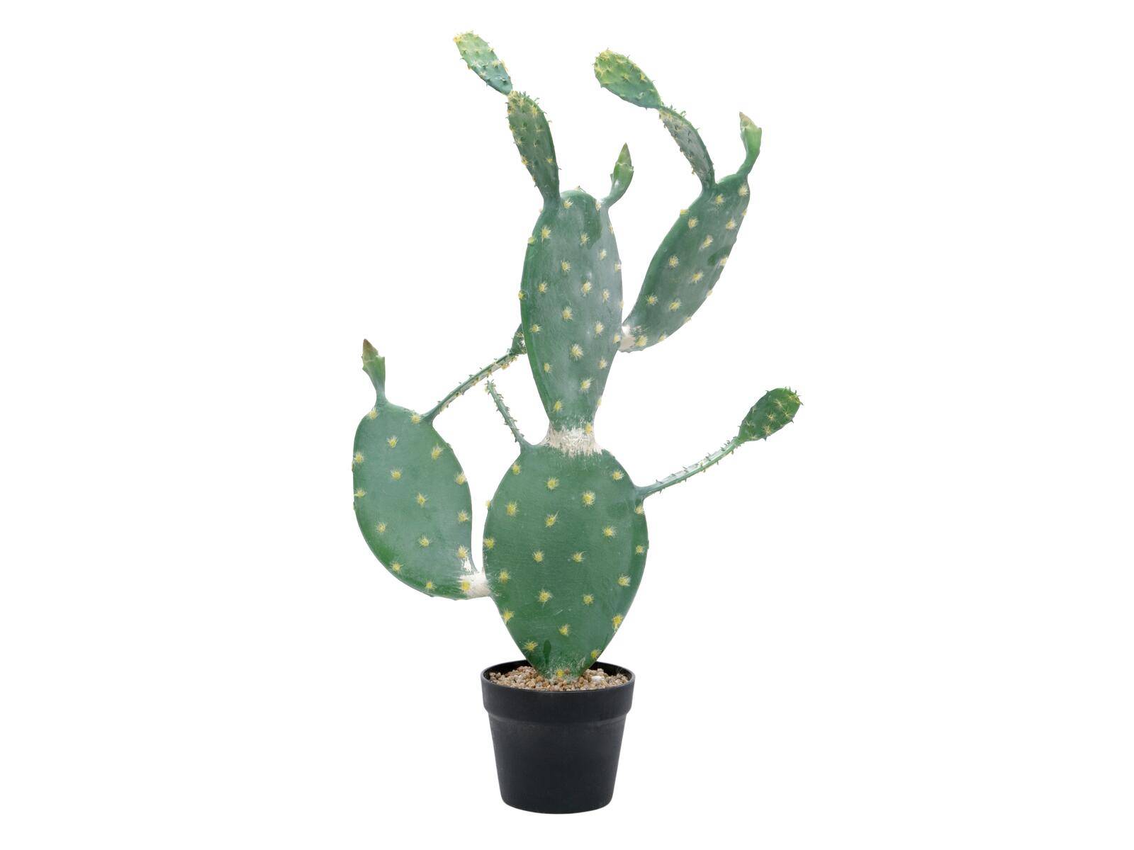 EUROPALMS Blätterkaktus, Kunstpflanze, 76cm