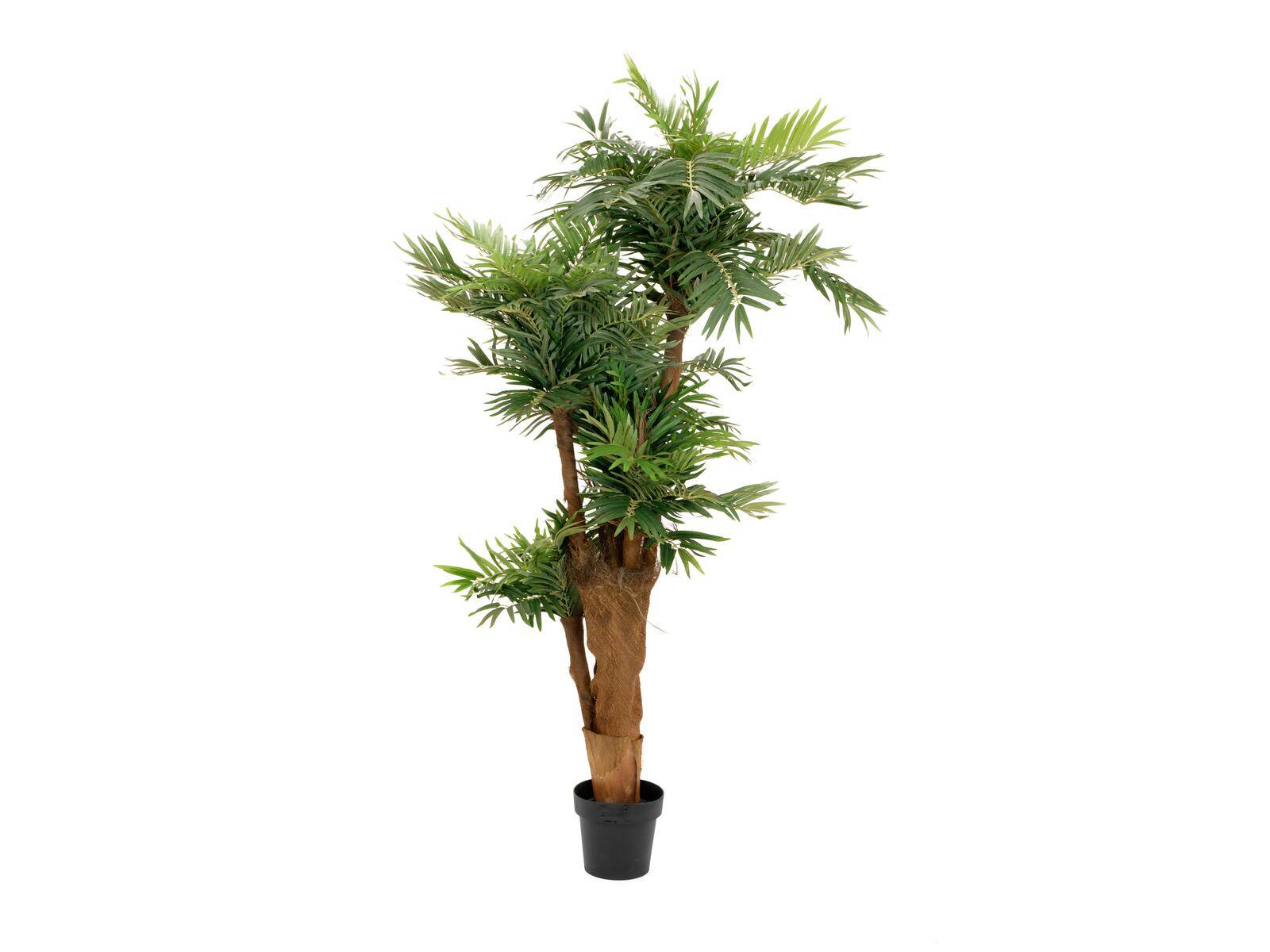 EUROPALMS Areca Palme, Kunstpflanze, 170cm