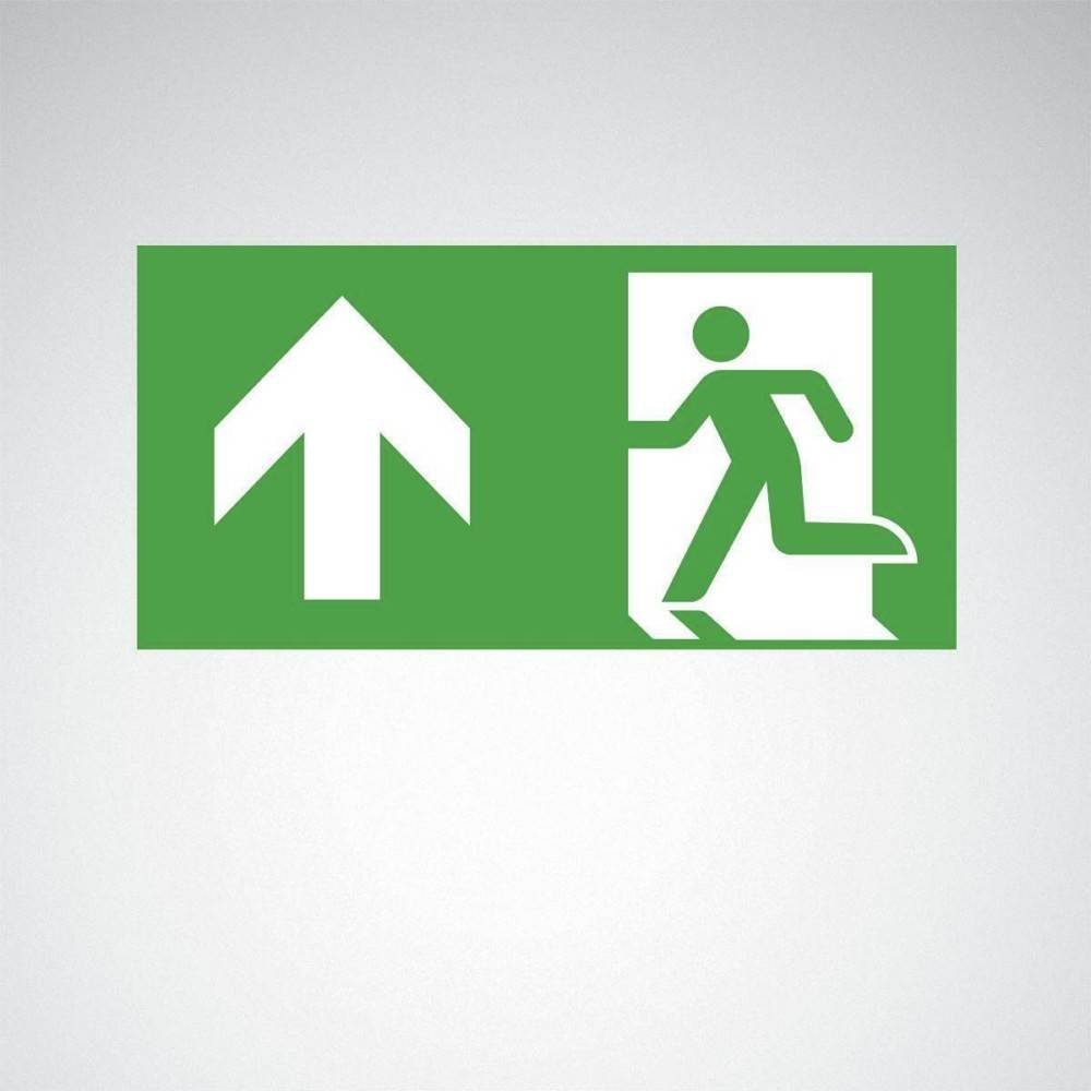 Trilux Piktogrammscheibe 07650/07750 #7955900