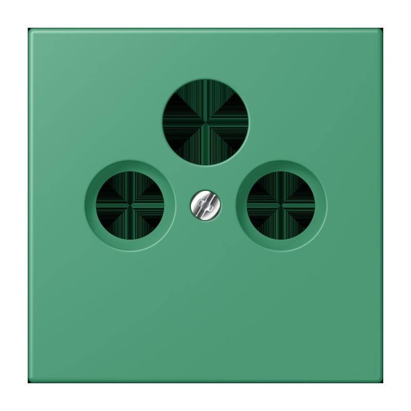 Eine grüne Wandsteckdose mit drei kreisrunden Steckerlöchern und einer zentralen Schraube.