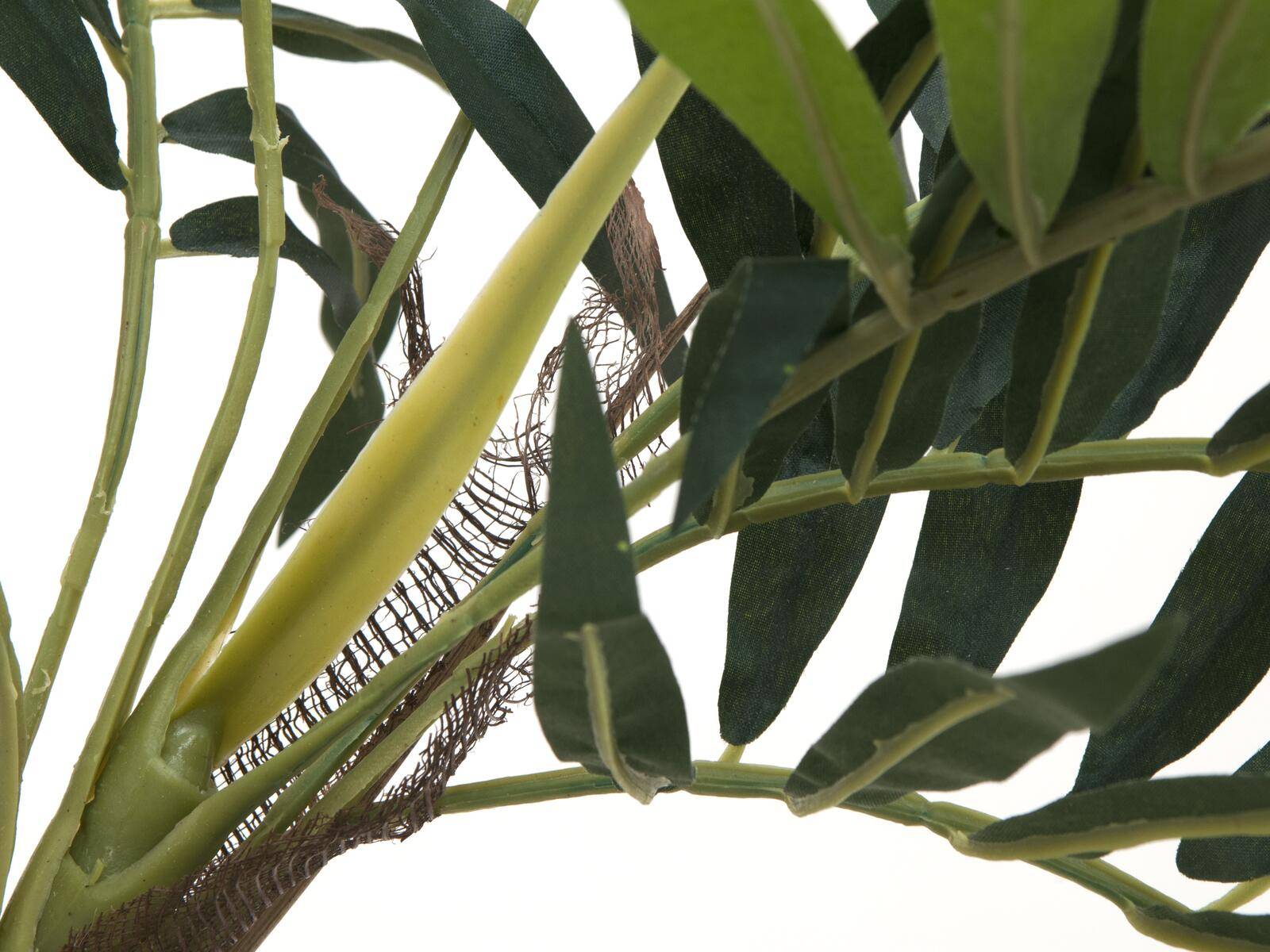 EUROPALMS Parlour Palme, Kunstpflanze, 150cm