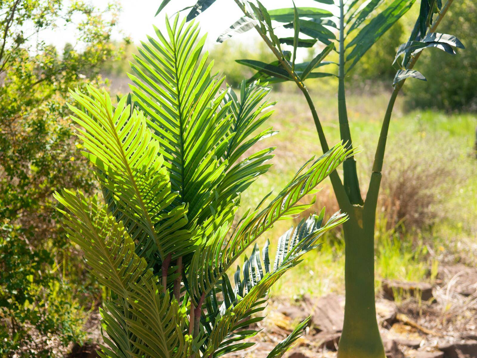 EUROPALMS Kentia Palme, Kunstpflanze, 140cm
