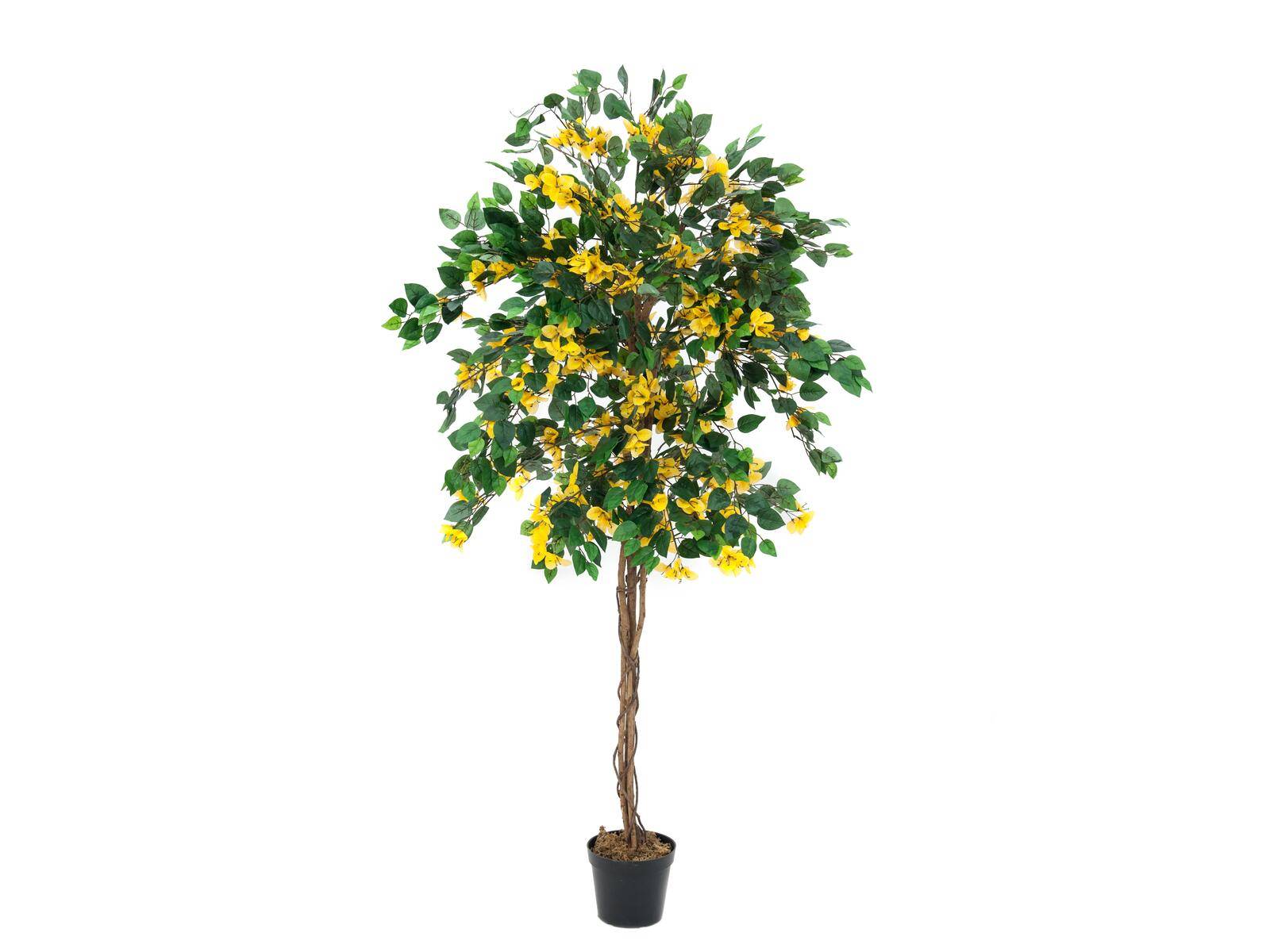 EUROPALMS Bougainvillea, Kunstpflanze, gelb, 180cm