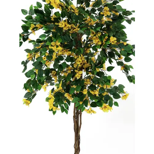 EUROPALMS Bougainvillea, Kunstpflanze, gelb, 150cm EUROPALMS Bougainvillea, Kunstpflanze, gelb, 150cm