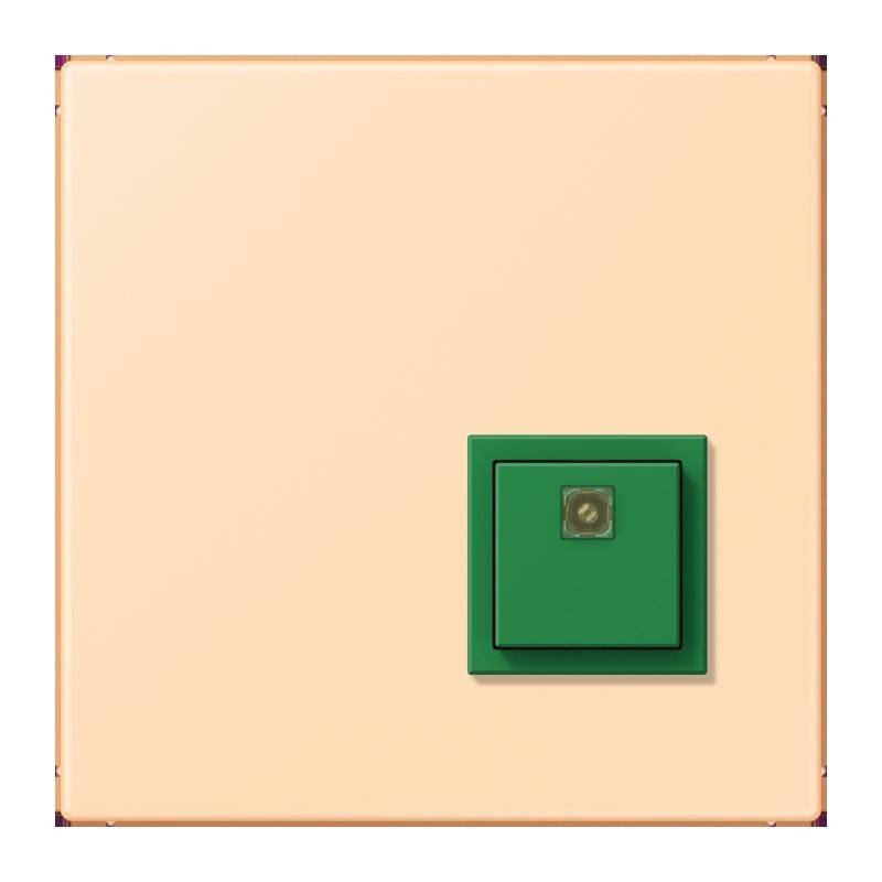 Jung Notrufsystem Abstelltaster NRS LC 0834 AT 223