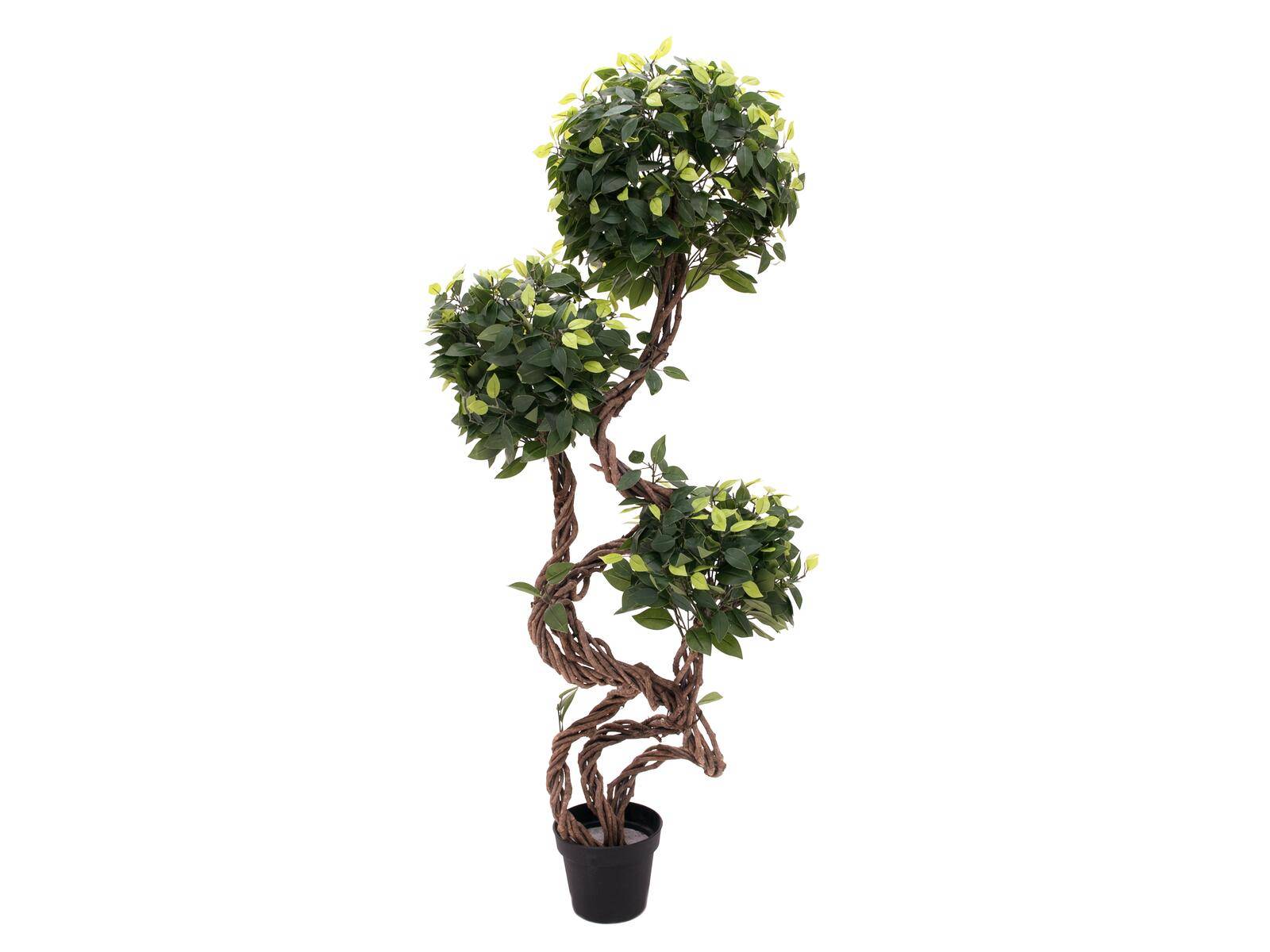 EUROPALMS Ficus Multi Spiralstamm, Kunstpflanze, 160cm
