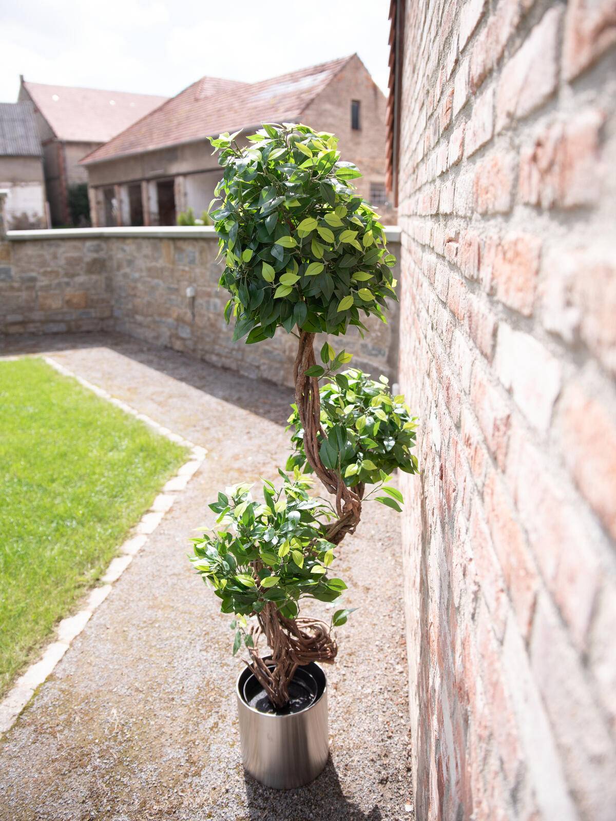 EUROPALMS Ficus Multi Spiralstamm, Kunstpflanze, 160cm