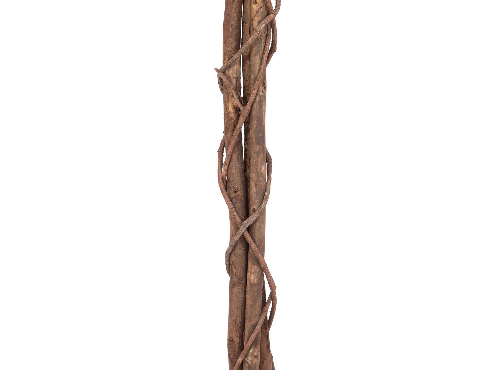 EUROPALMS Ficus-Benjamini Multi-Stamm, Kunstpflanze, 180cm