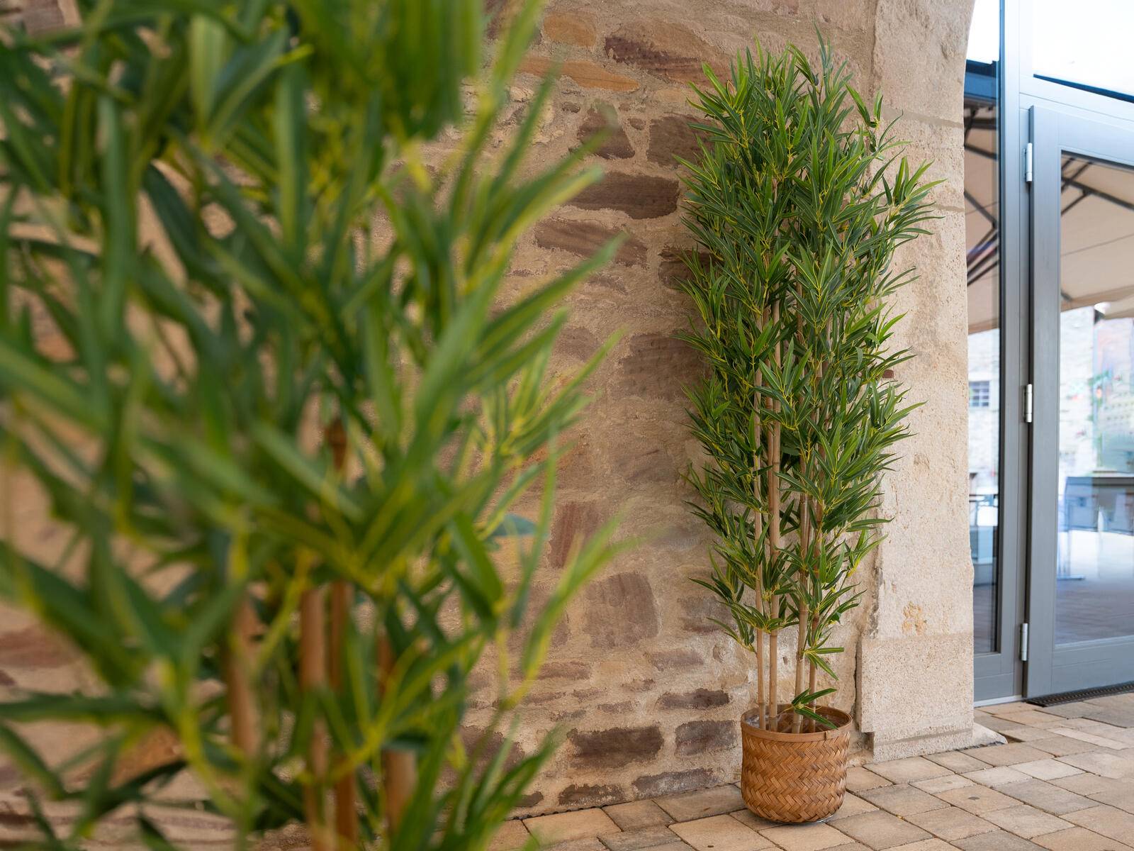 EUROPALMS Bambus deluxe, Kunstpflanze, 180cm