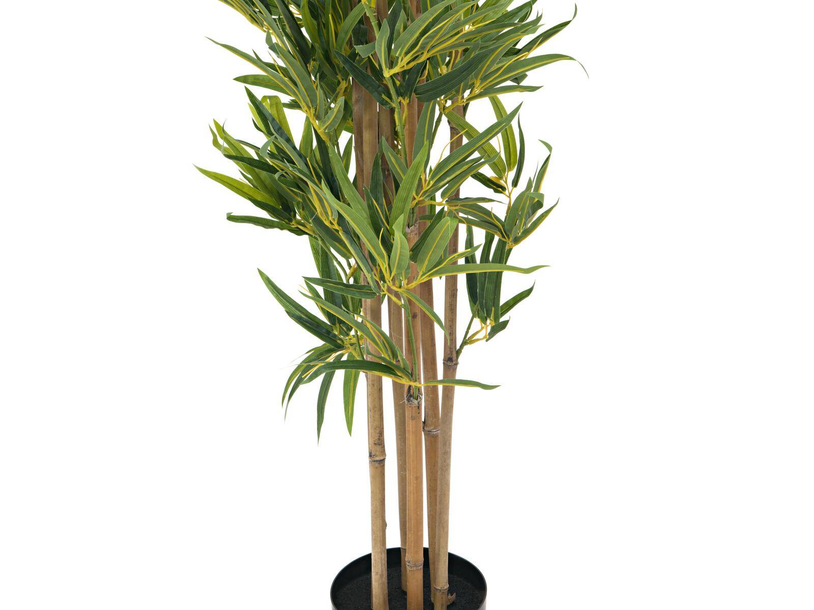 EUROPALMS Bambus deluxe, Kunstpflanze, 180cm