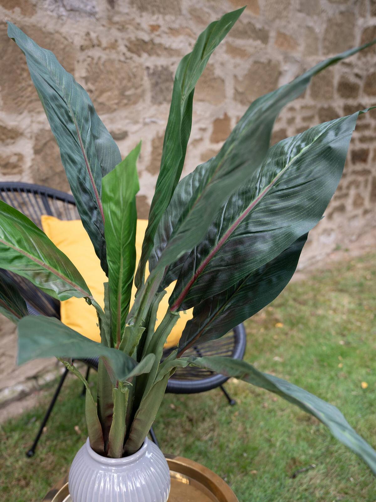 EUROPALMS Mangoldbusch, künstlich, 45cm