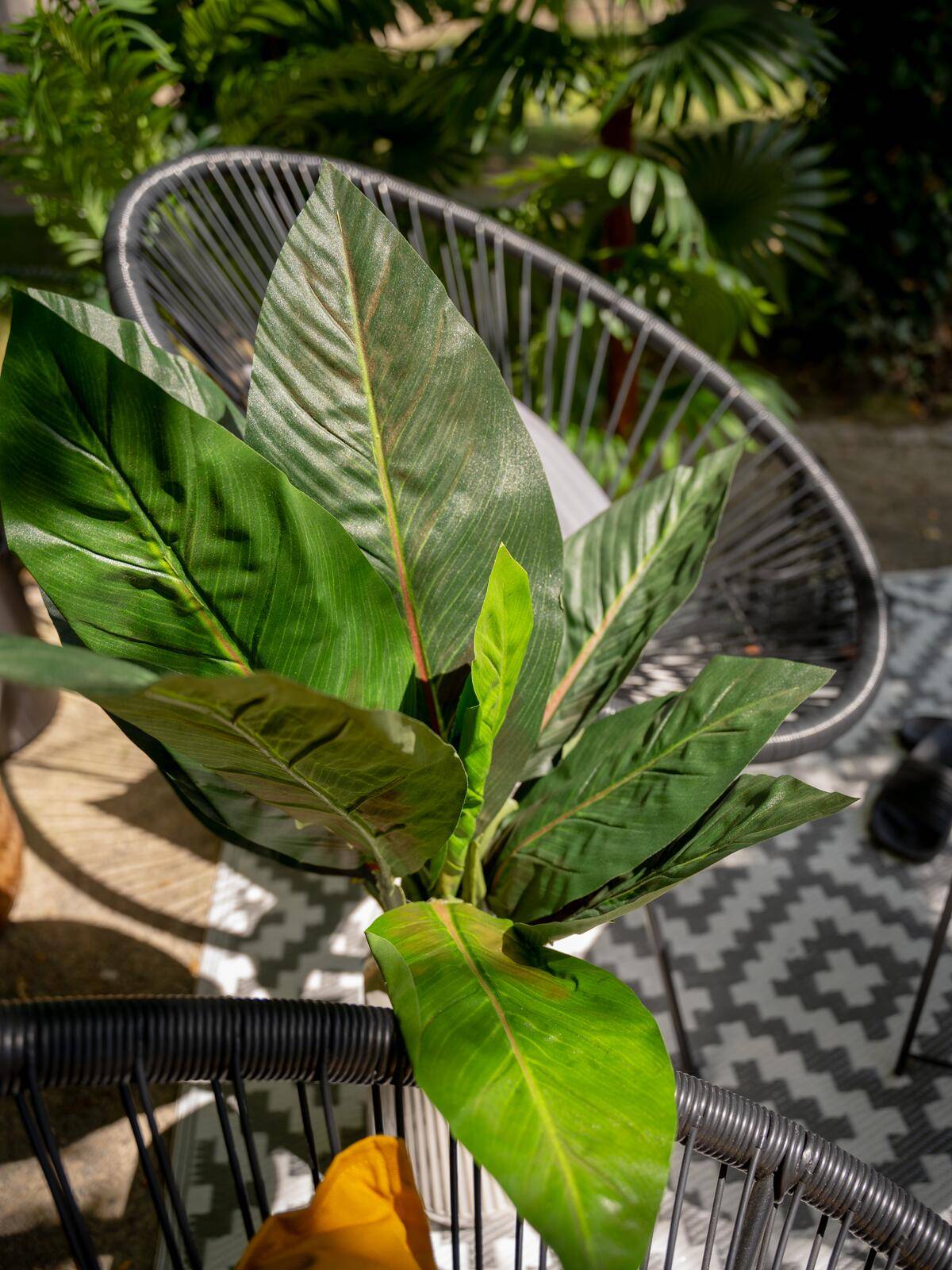 EUROPALMS Mangoldbusch, künstlich, 45cm