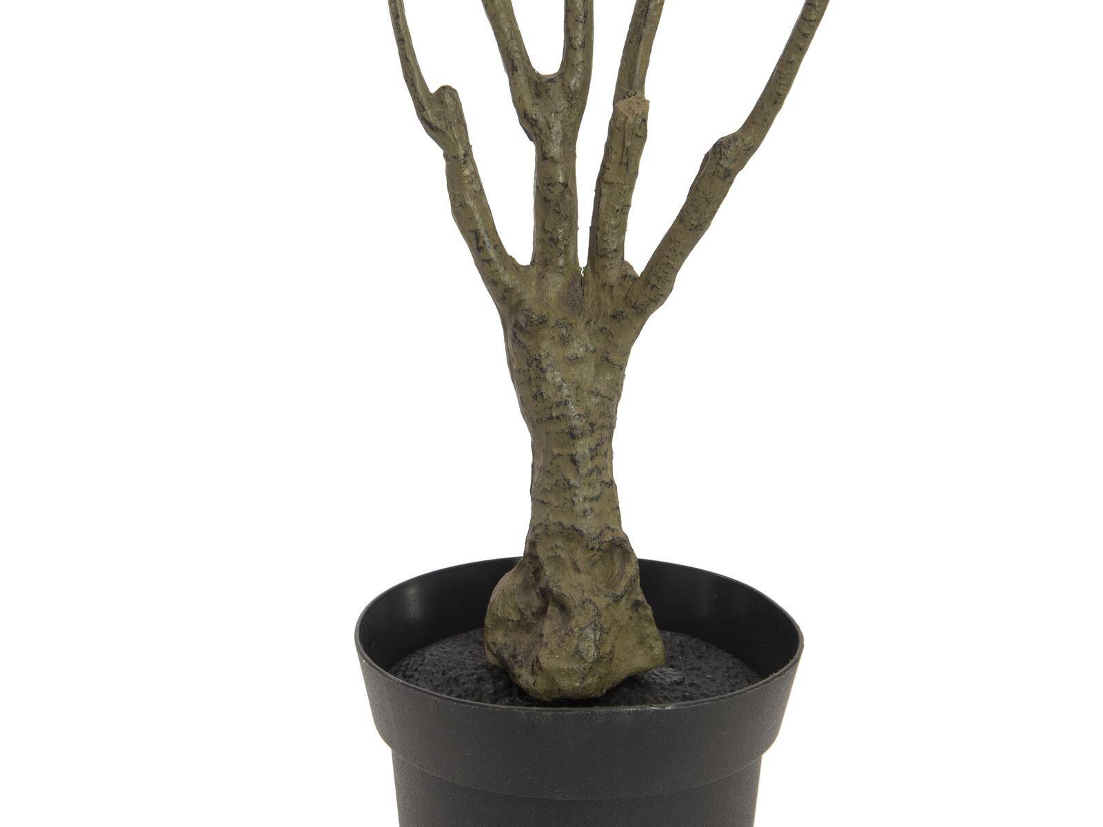 EUROPALMS Dracena, künstlich, grün-rot, 90cm