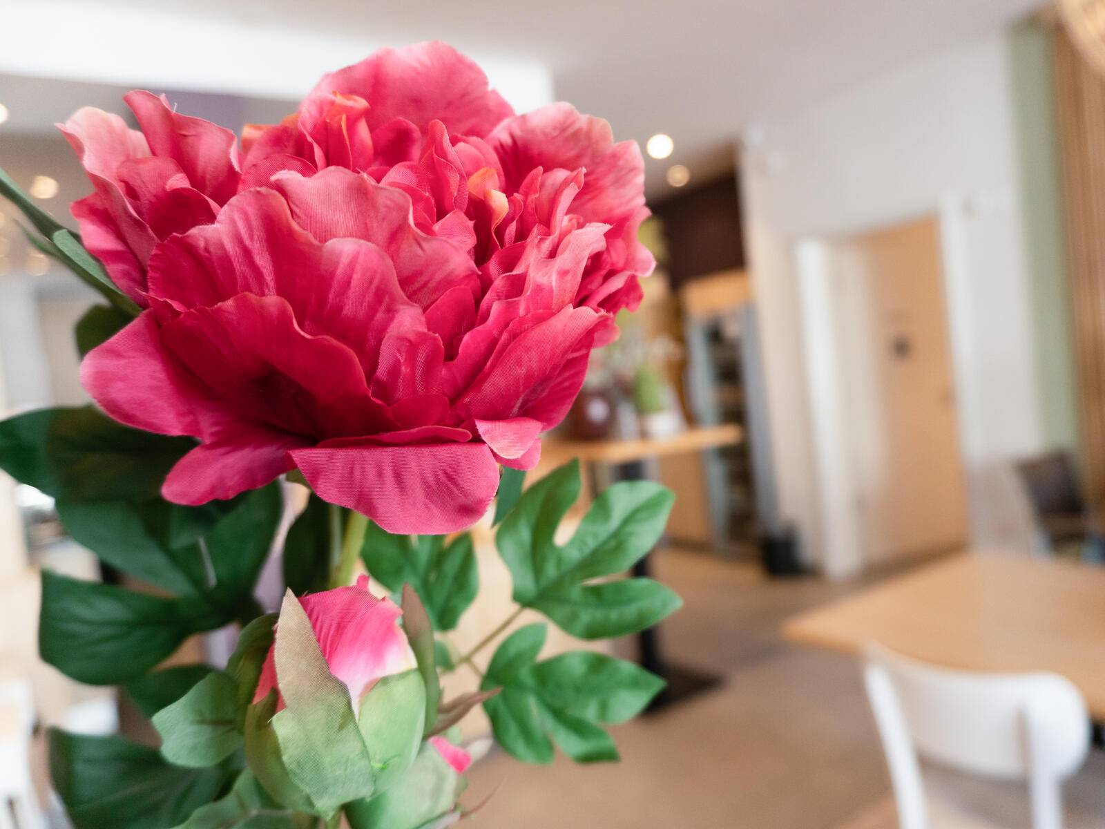 EUROPALMS Pfingstrosenzweig Premium, Kunstpflanze, magenta, 100cm