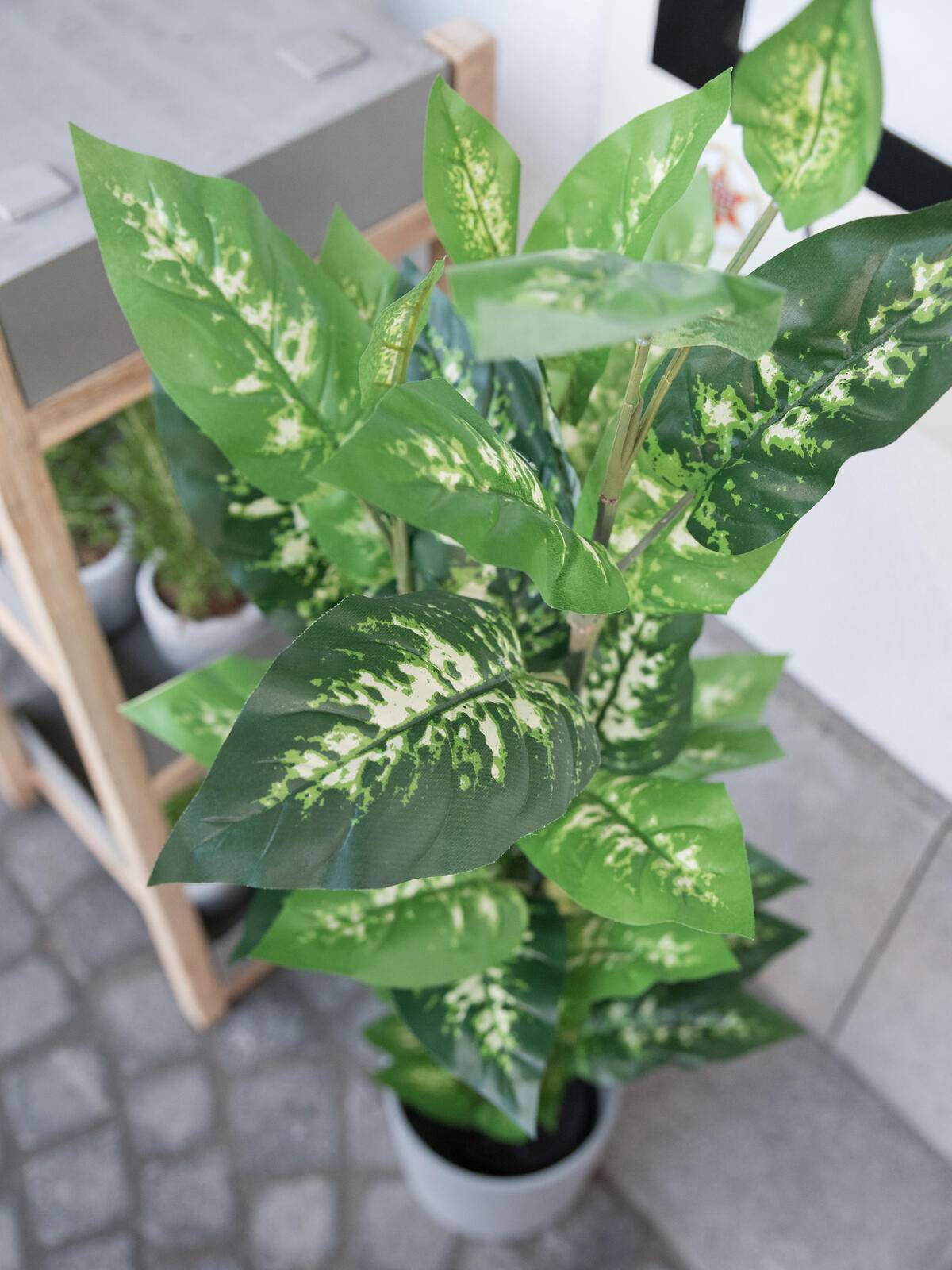 EUROPALMS Dieffenbachia, künstlich, 120cm