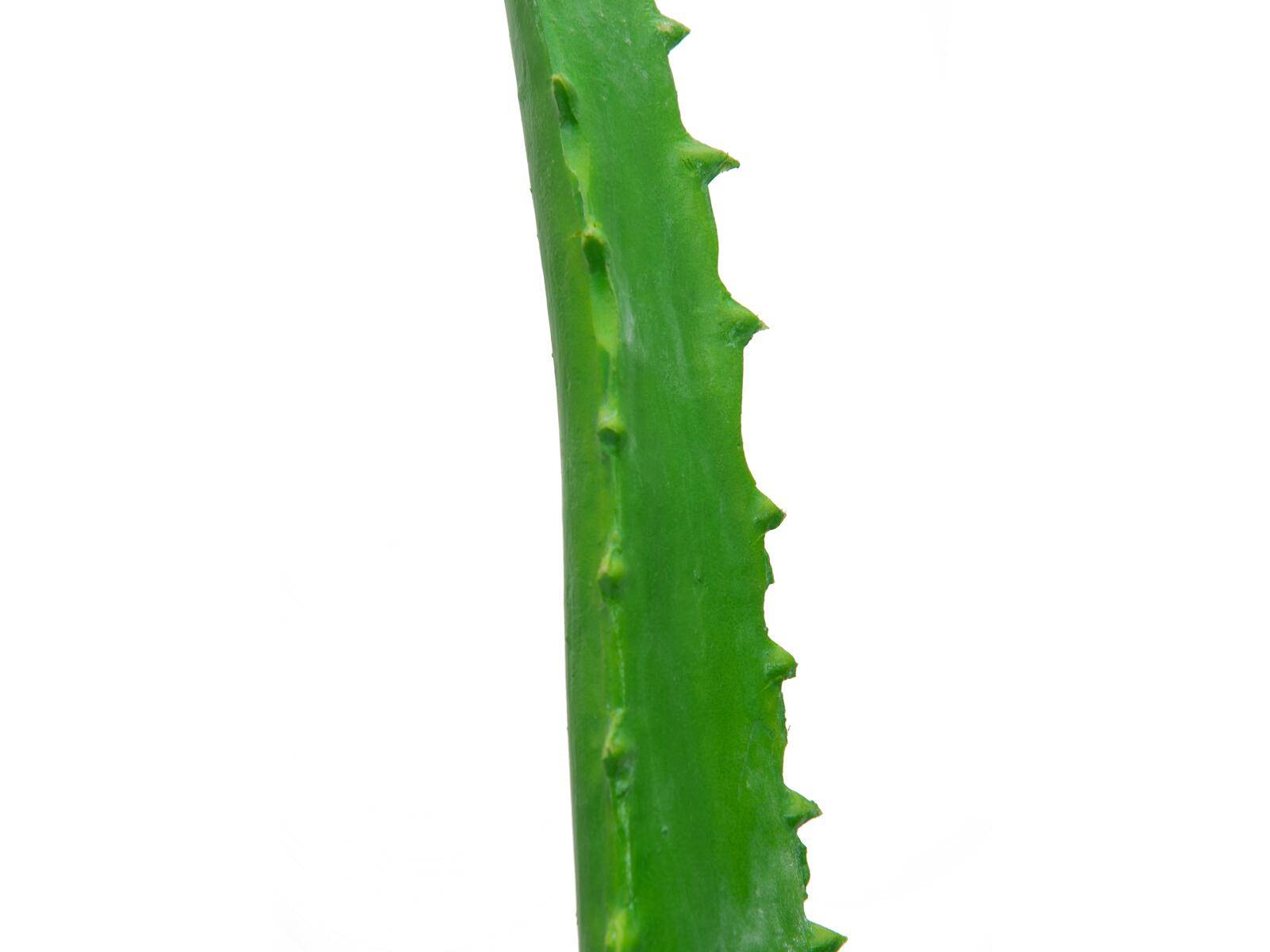 EUROPALMS Aloe-Vera-Pflanze, Kunstpflanze, 63cm