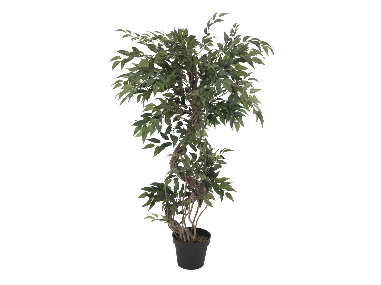 EUROPALMS Ficus Multi Spiralstamm, Kunstpflanze, 130cm