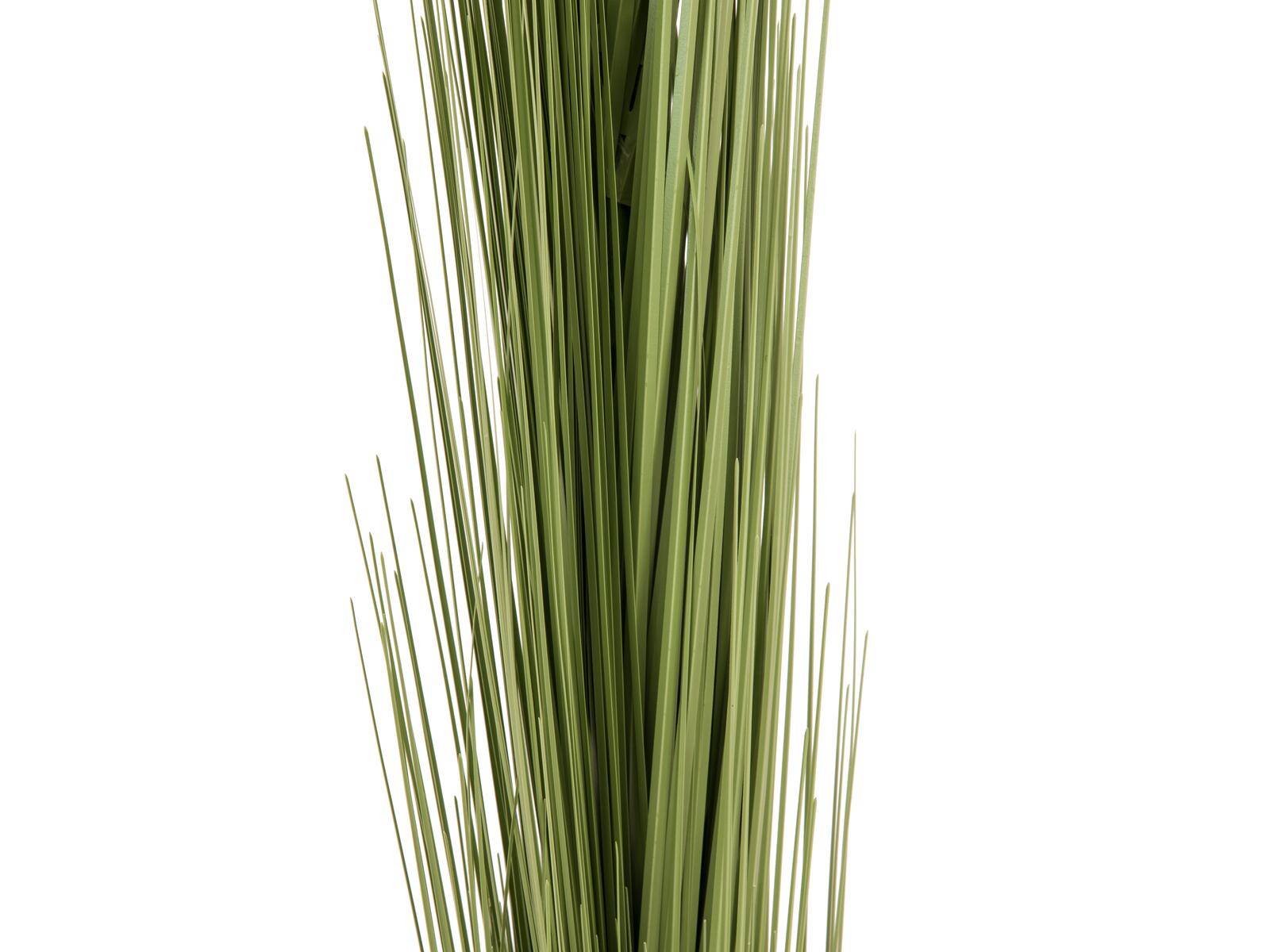 EUROPALMS Schilfgras, künstlich, hellgrün, 127cm
